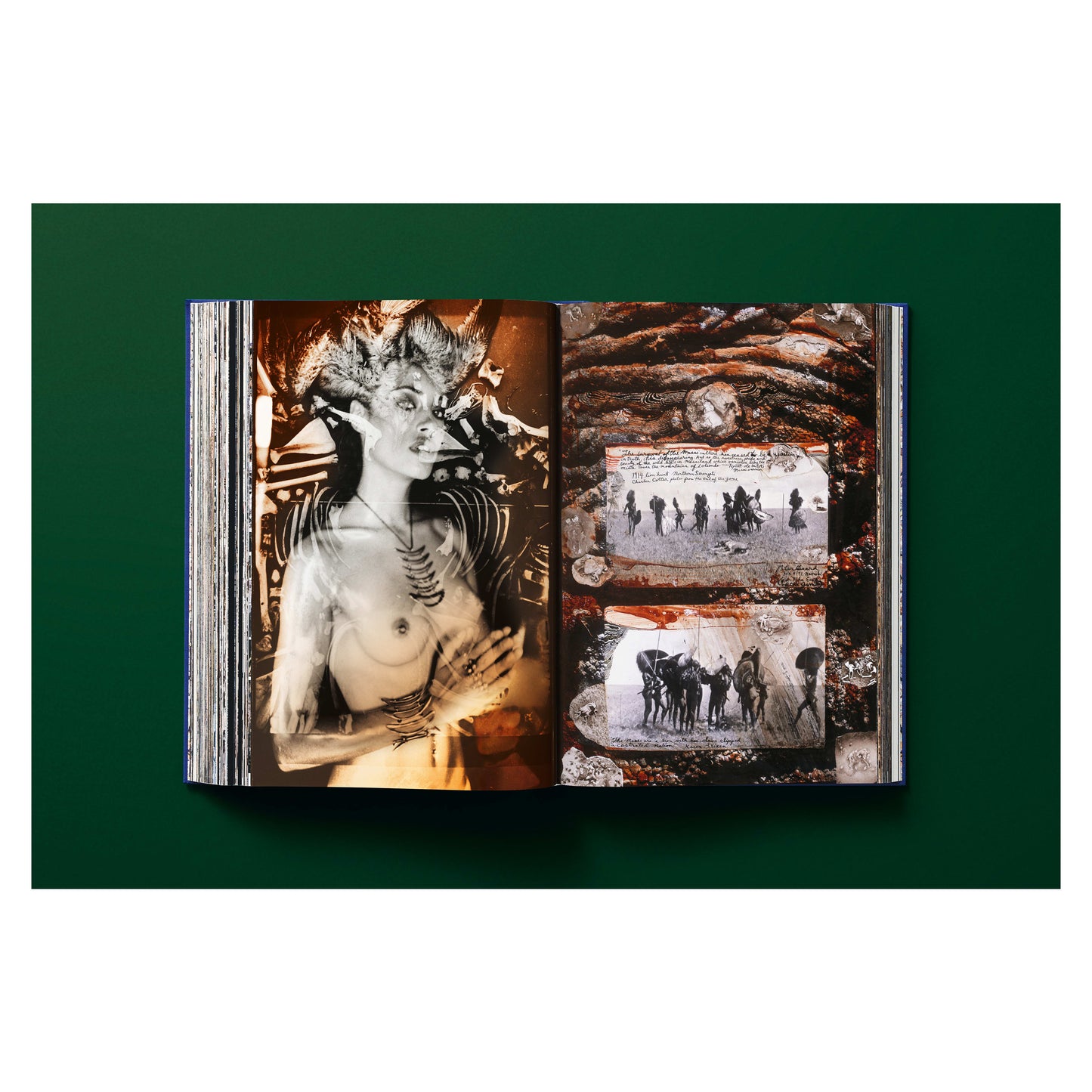 Peter Beard (German, French, English)