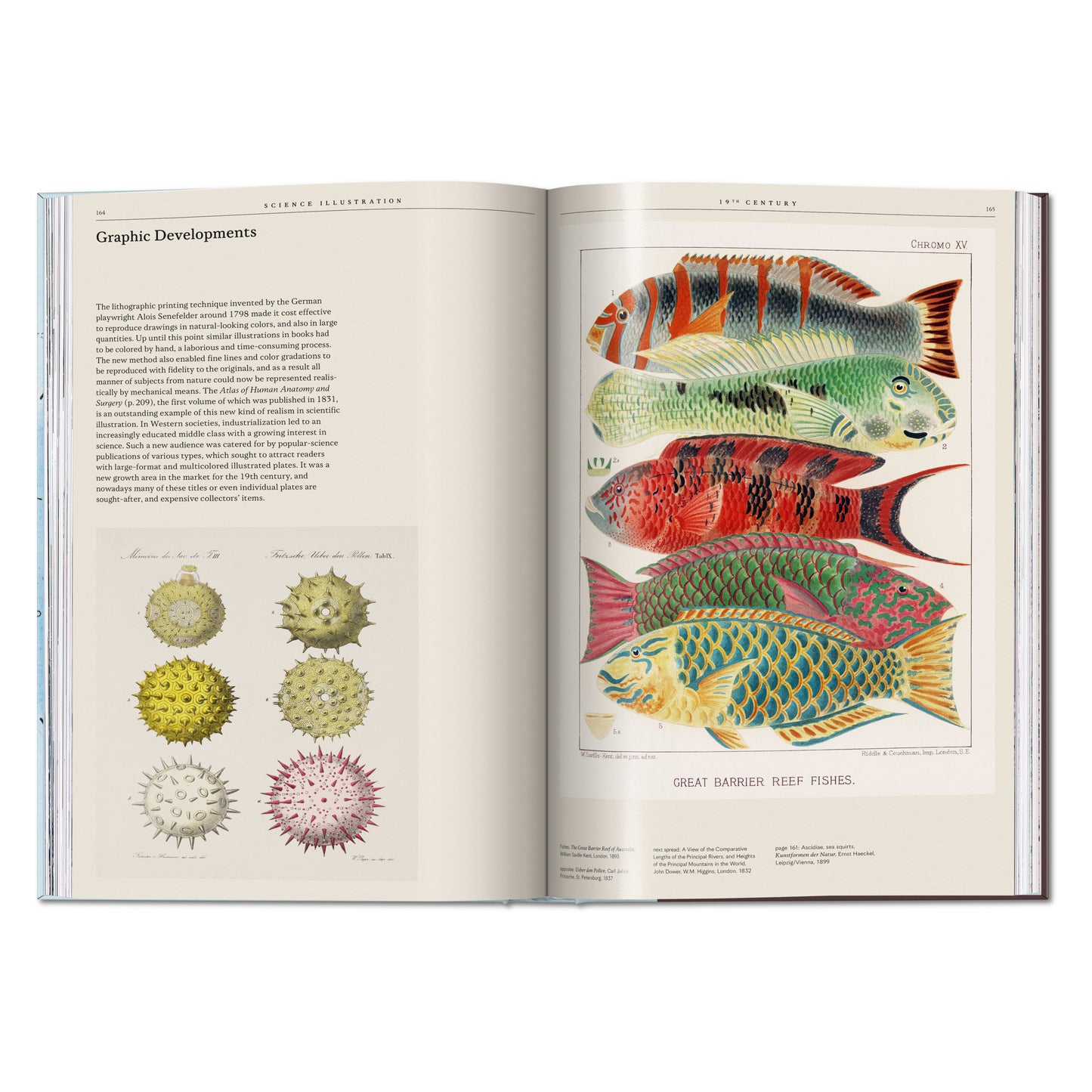 Science Illustration. A History of Visual Knowledge from the 15th Century to Today (German, French, English)