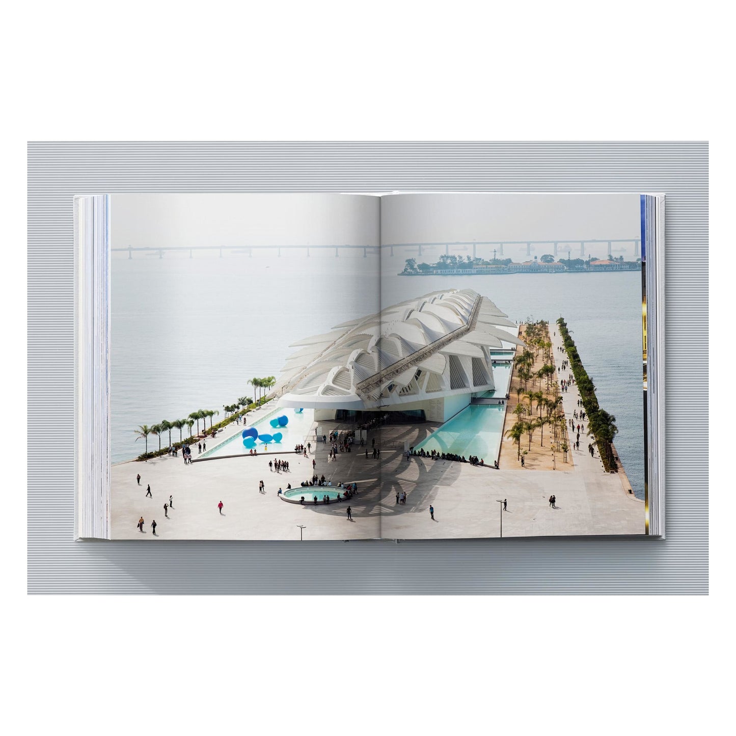 Calatrava. Complete Works 1979–Today. Art Edition 'Transfigured Tree. Messenger of Light', 2023 (German, French, English)