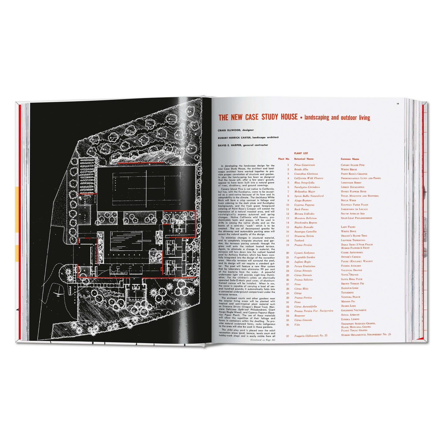 Arts & Architecture 1955–1959 (English)