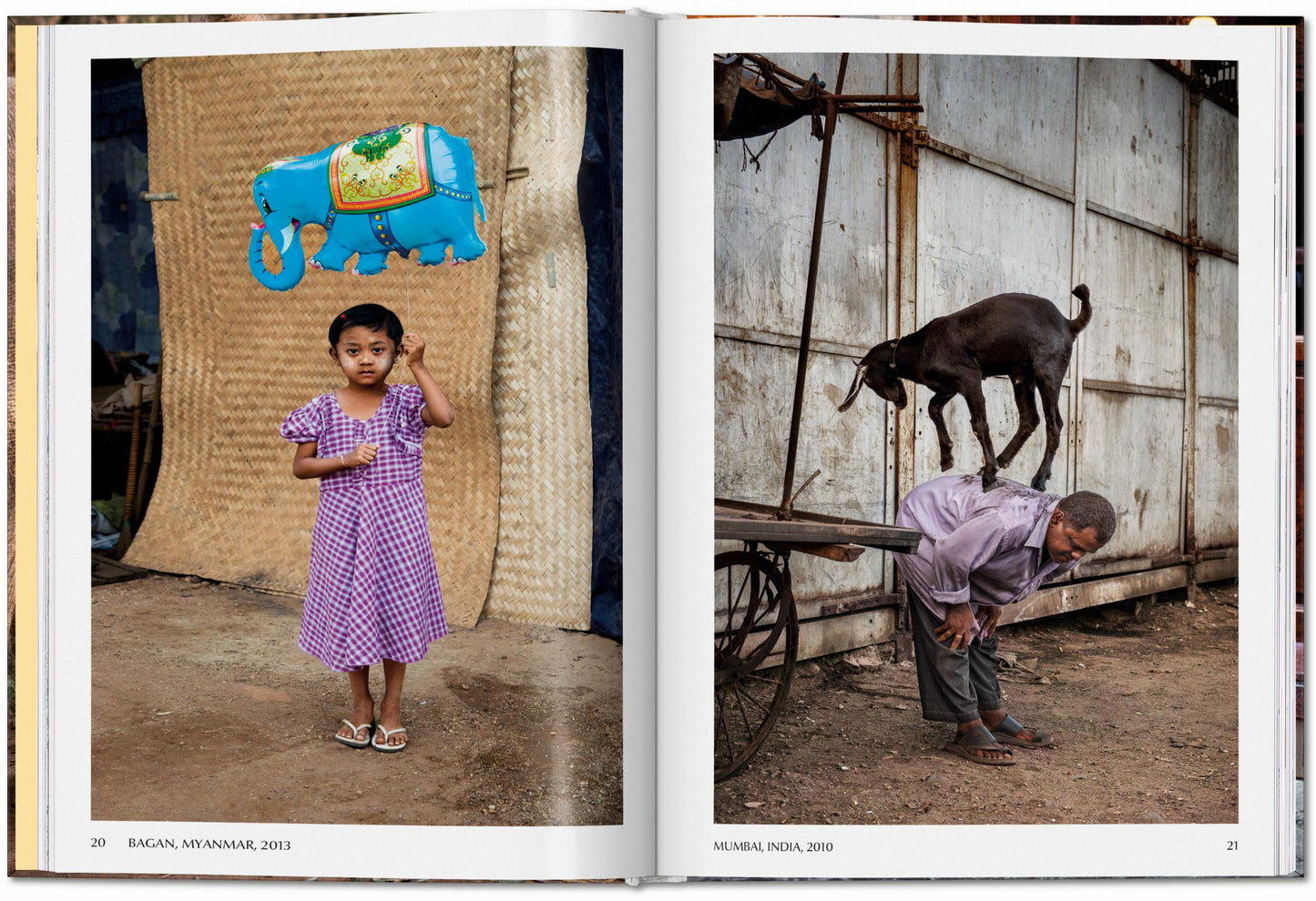 Steve McCurry. Animals (English)