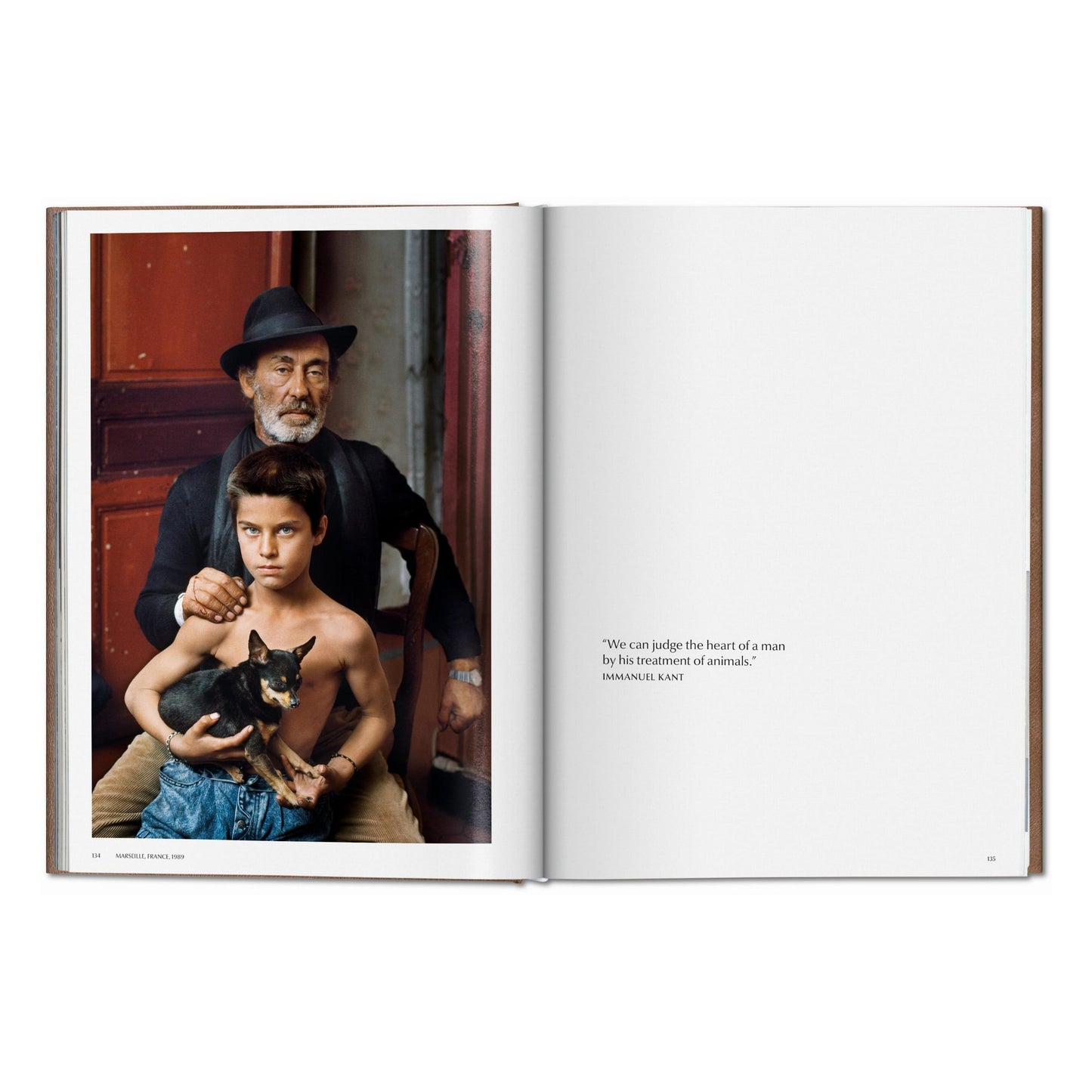 McCurry, Animals, Art B, Chennai (German, French, English) (AP)
