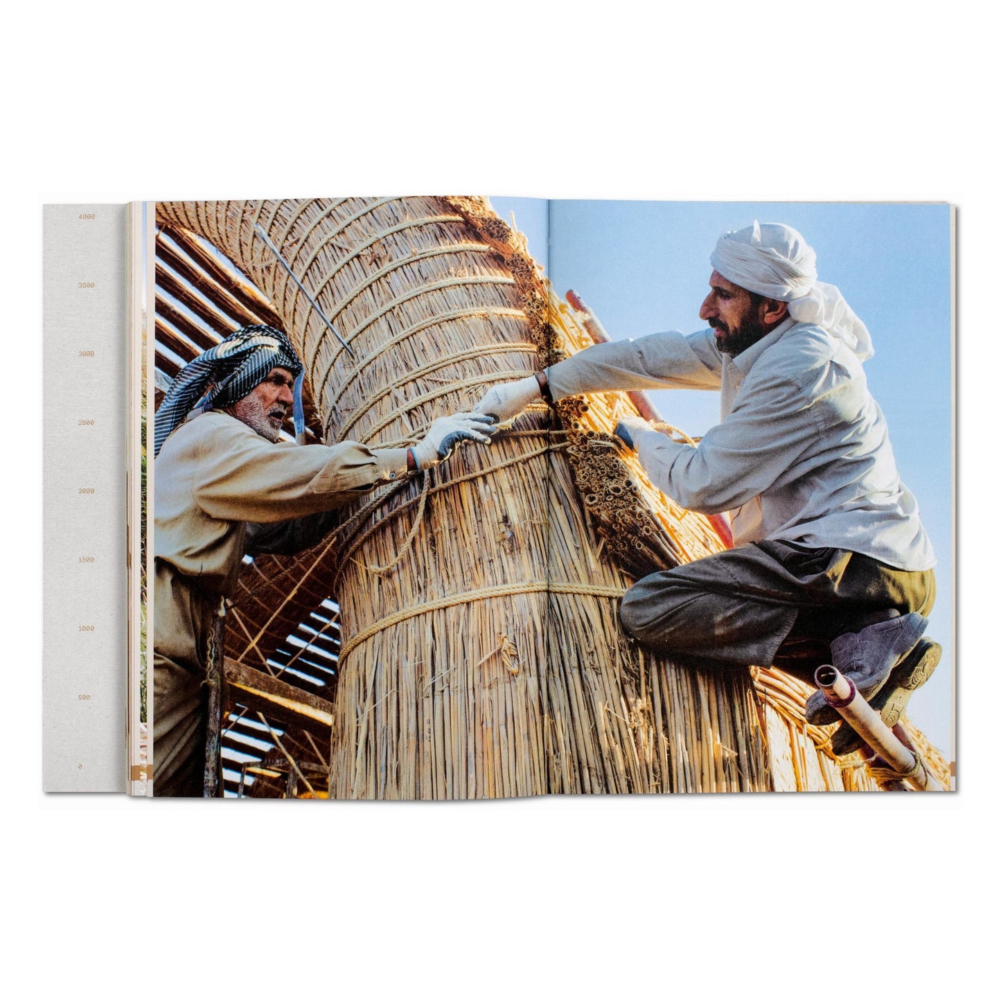 Julia Watson. Lo—TEK. Design by Radical Indigenism (English)