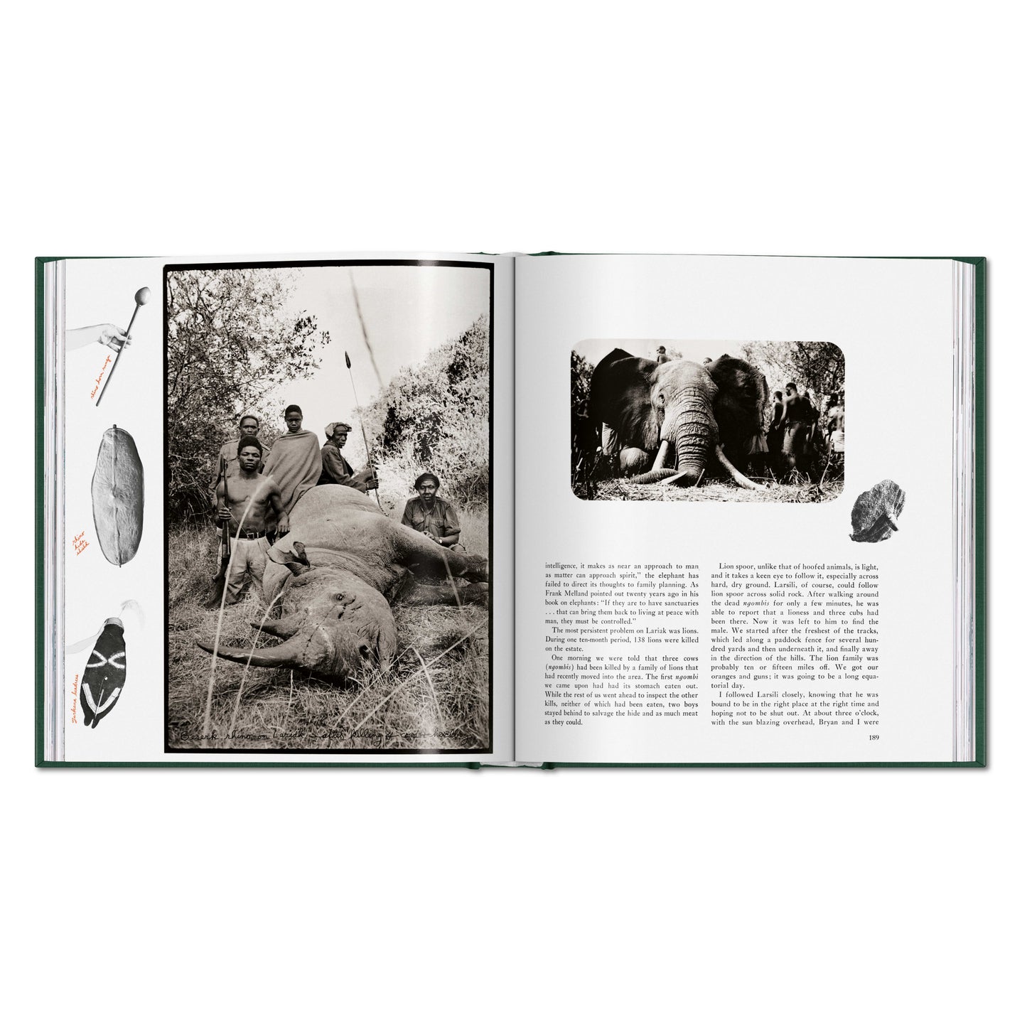 Peter Beard. The End of the Game (English)