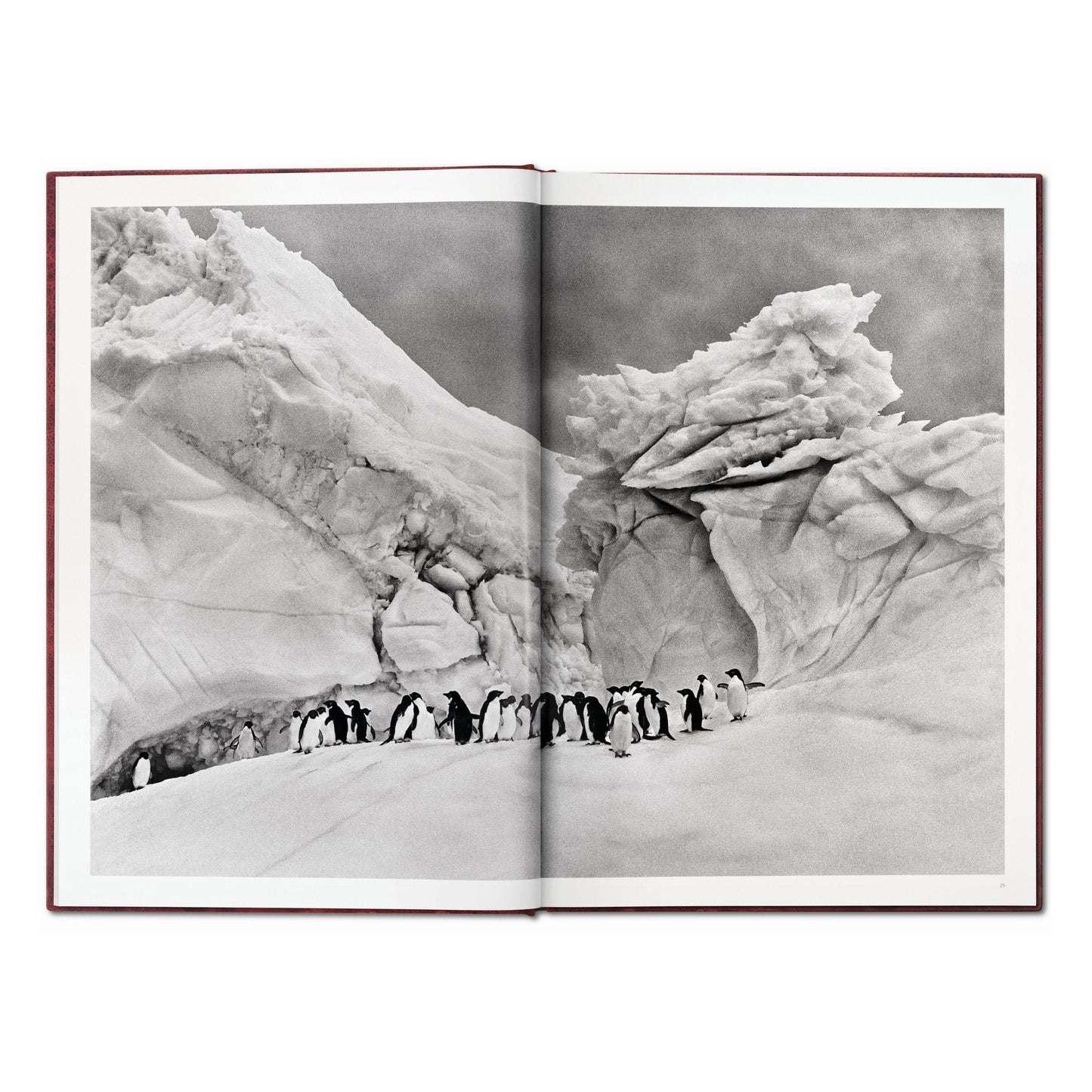 Sebastião Salgado. GENESIS, Art Edition No. 101–200 ‘North of the Ob River, Yamal Peninsula, Siberia, Russia’ (English) (AP)