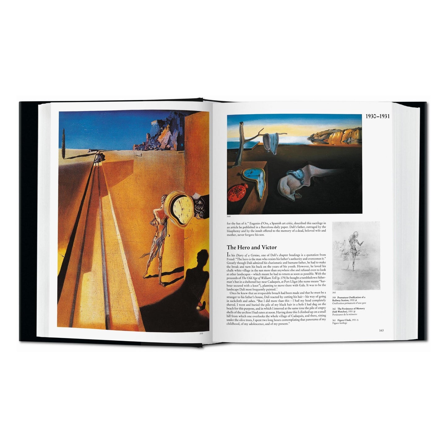 Dalí. L'œuvre peint (French)