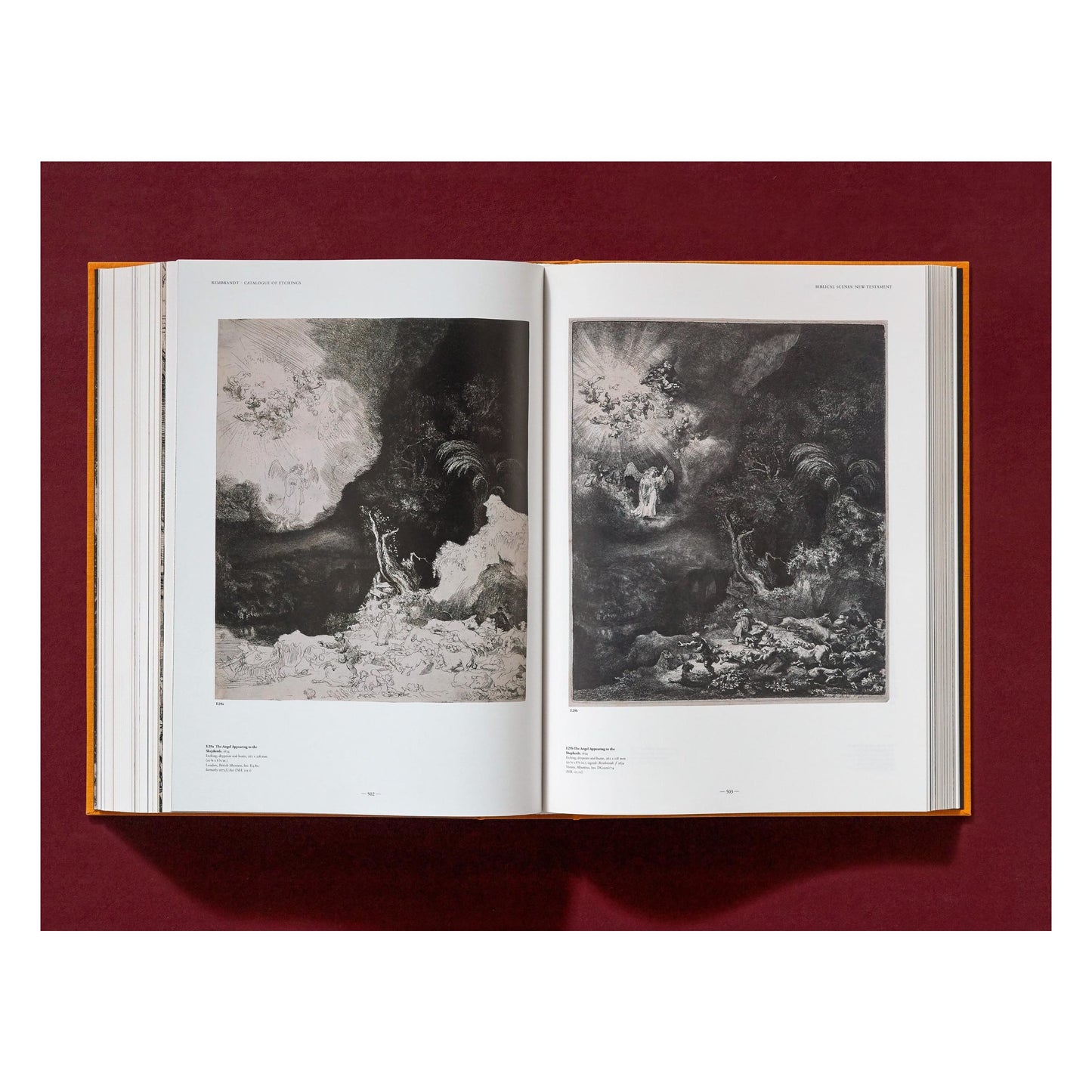 Rembrandt. The Complete Drawings and Etchings (English)