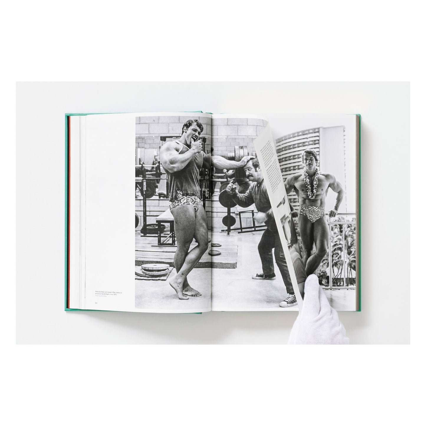 ARNOLD. Capitello Edition (English) (SA)