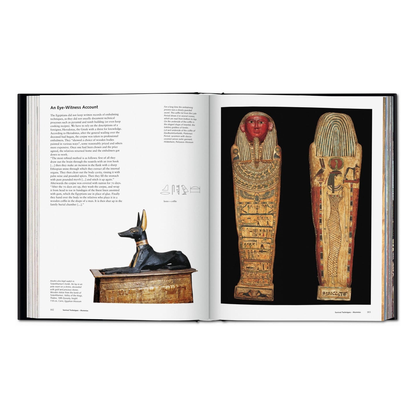 Egipto. Hombres, Dioses, Faraones (Spanish)