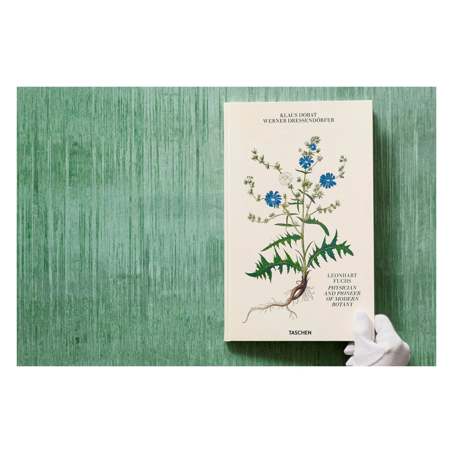 Leonhart Fuchs. Le Nouvel Herbier (French)