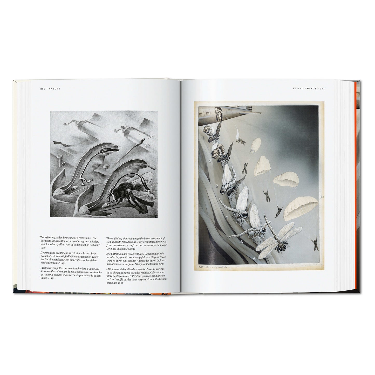 Fritz Kahn. Infographics Pioneer. 45th Ed. (German, French, English)