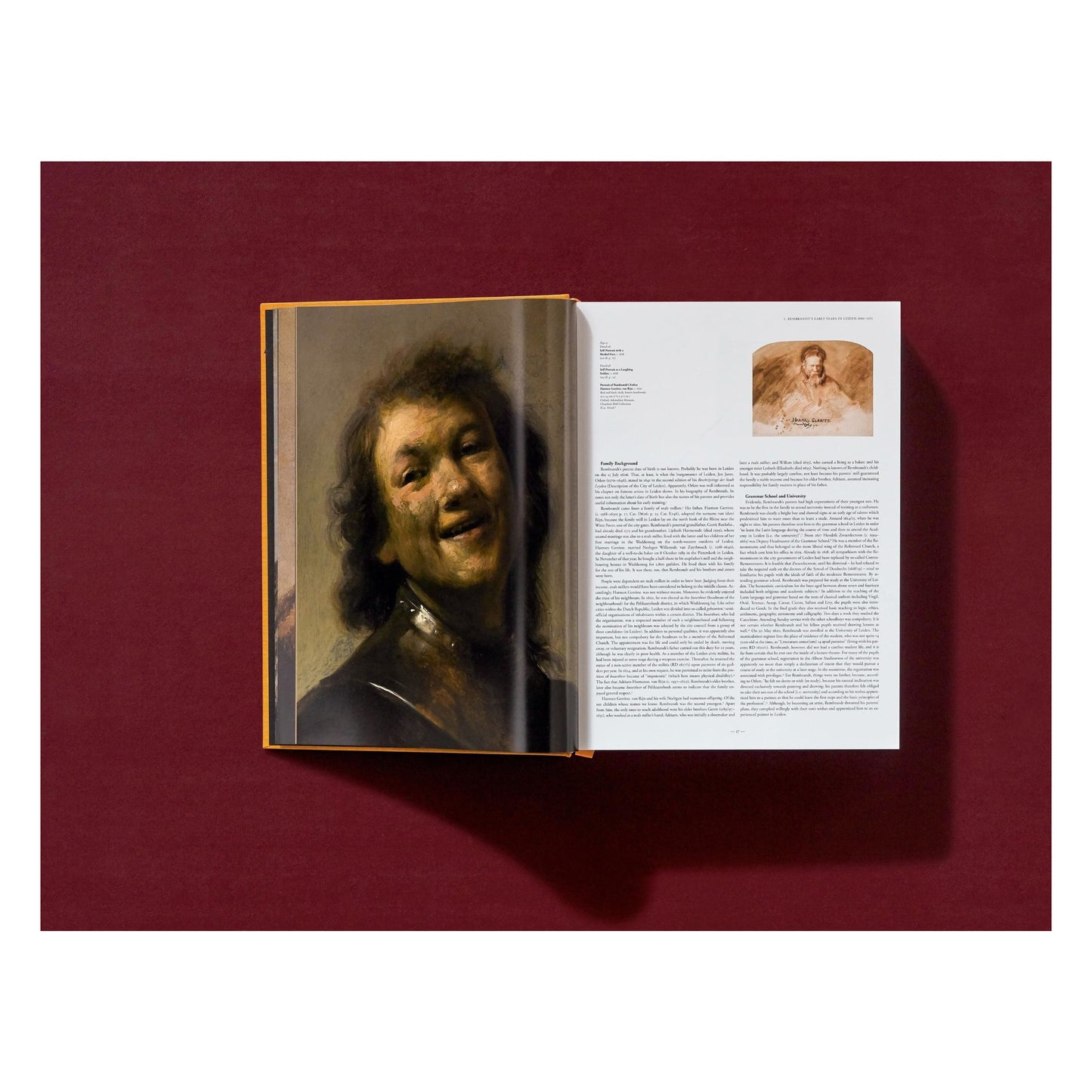 Rembrandt. The Complete Paintings (English)