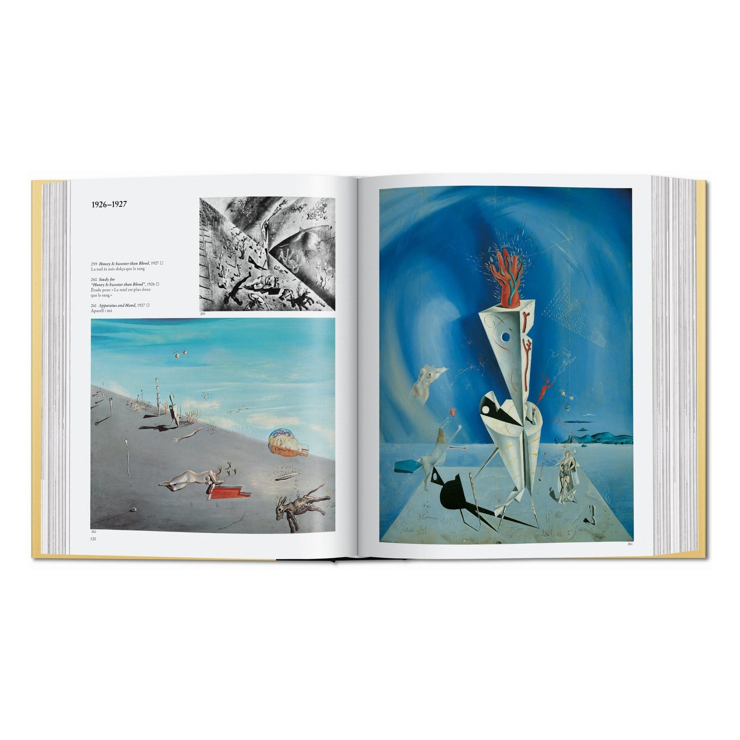 Dalí. La obra pictórica (Spanish)