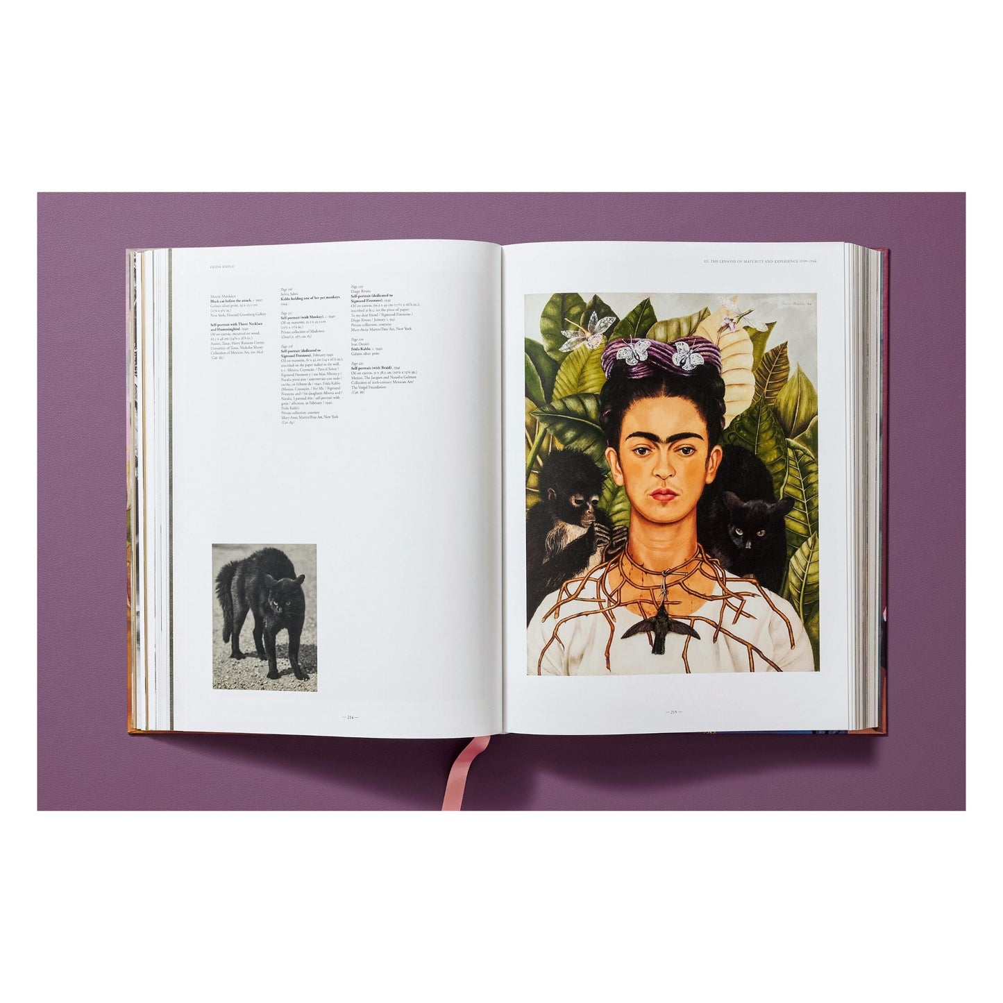 Frida Kahlo. Toute l'œuvre peinte (French)