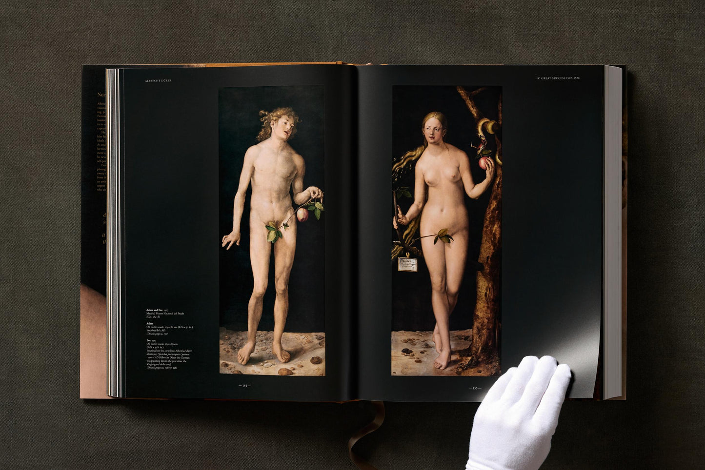 Albrecht Dürer. The Complete Paintings. Selected Drawings and Prints (English)