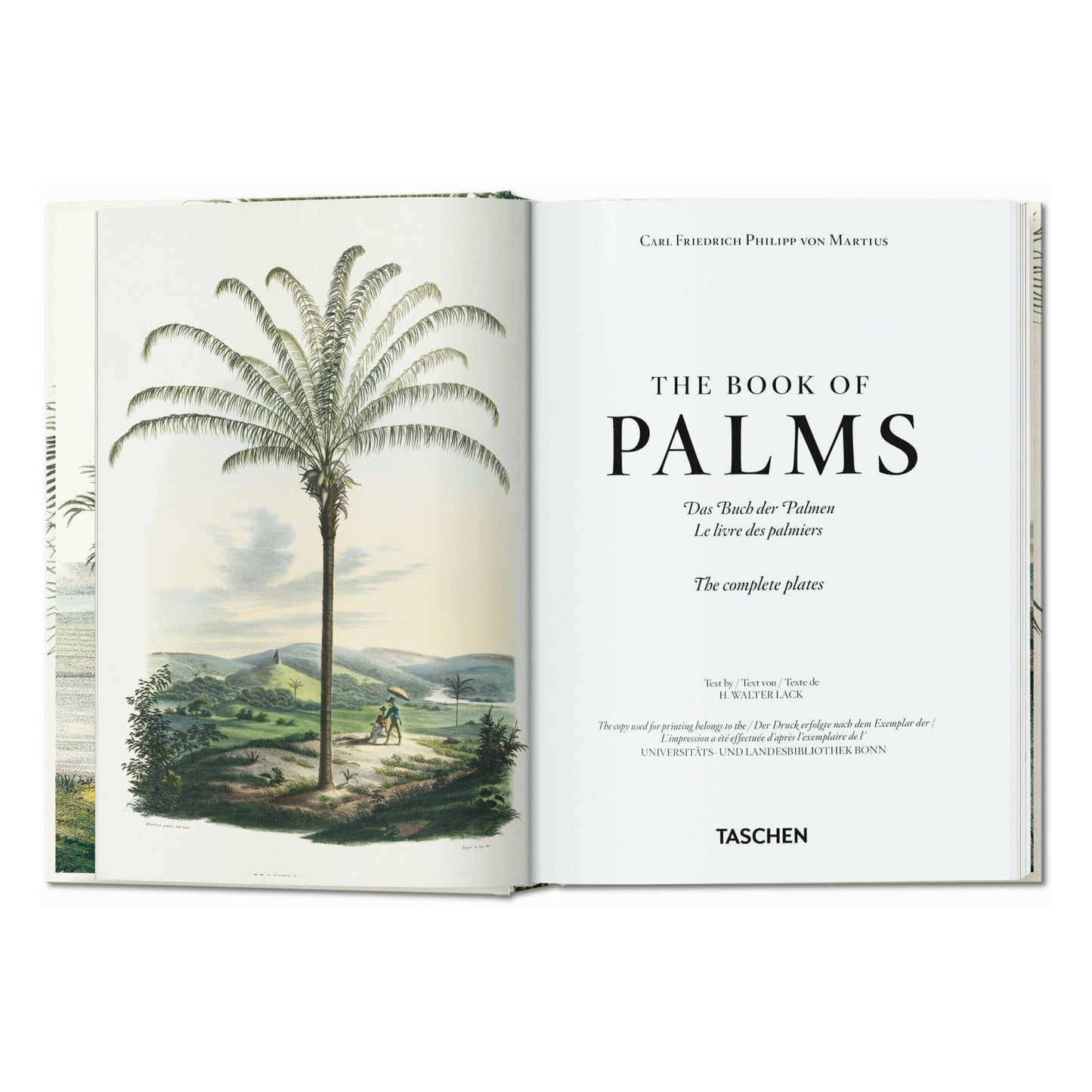 Martius. The Book of Palms. 45th Ed. (German, French, English)