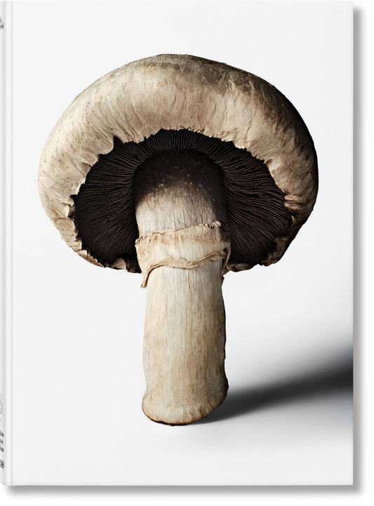 The Gourmand's Mushroom. A Collection of Stories & Recipes (English)