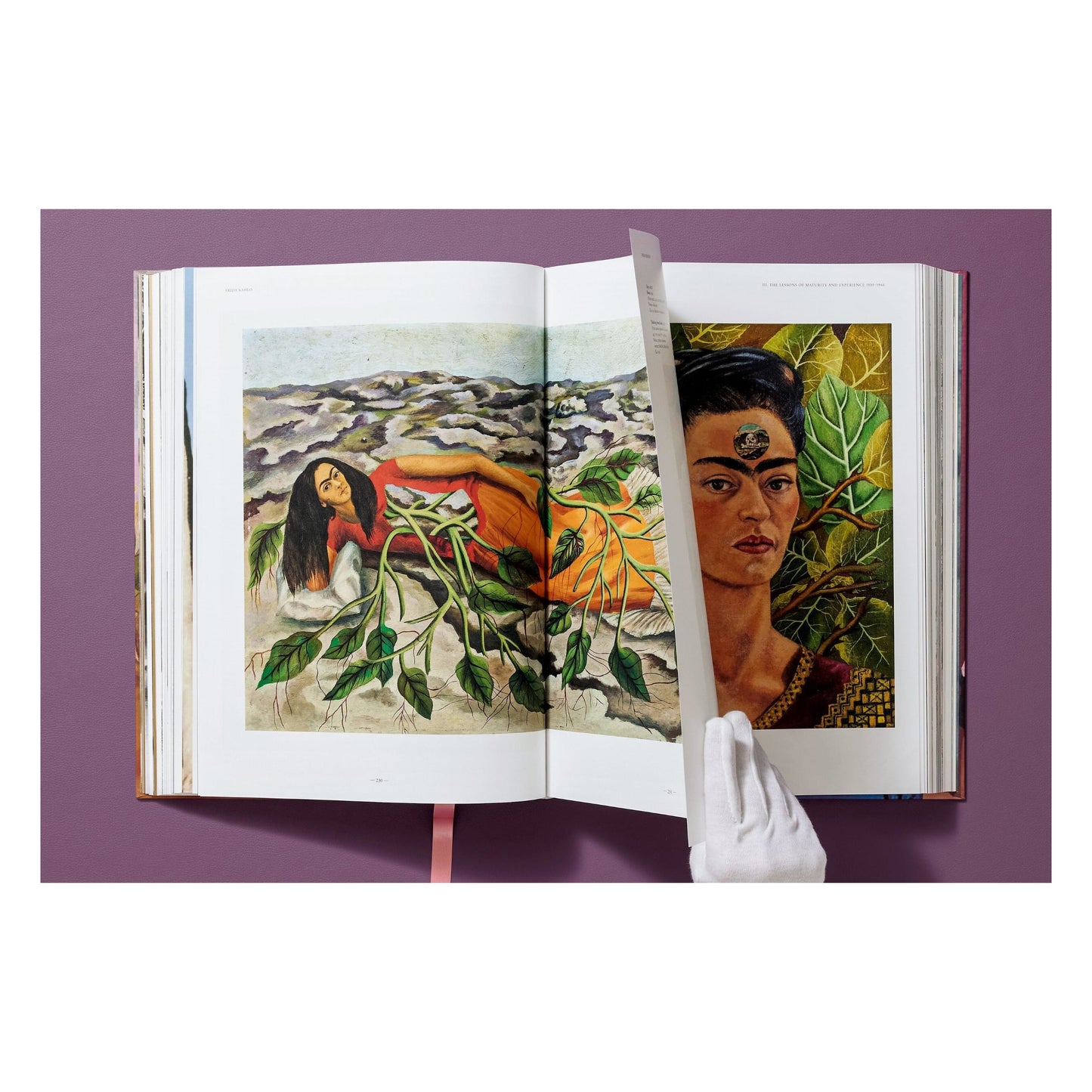 Frida Kahlo. Obra pictórica completa (Spanish)