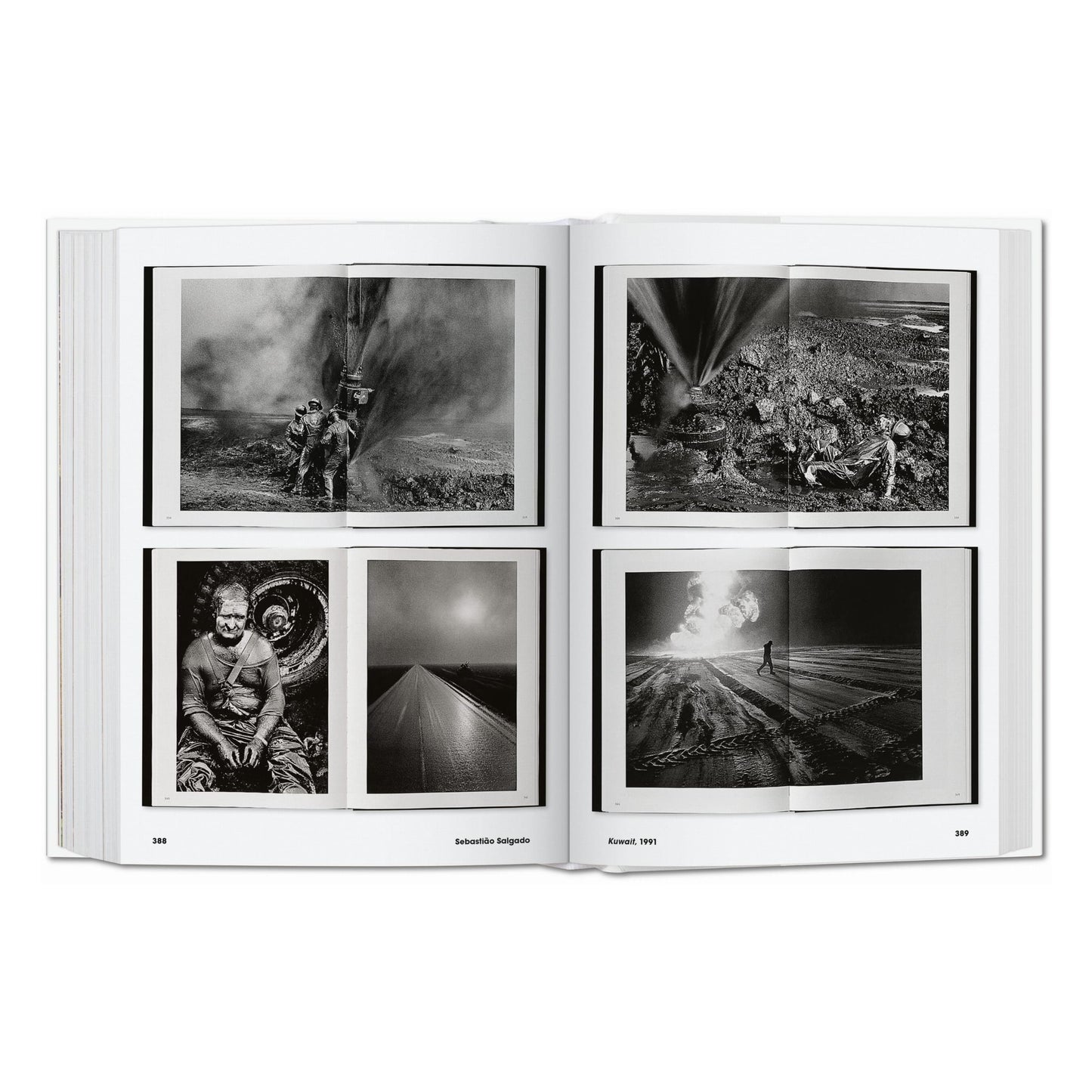 Photo Icons. 50 Landmark Photographs and Their Stories (English)