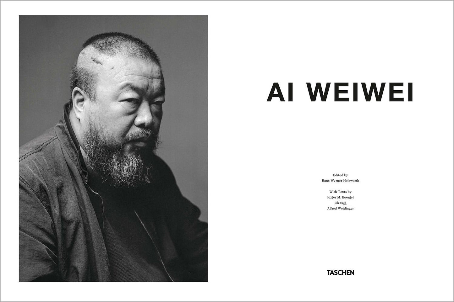 Ai Weiwei. Updated Edition (German, French, English)