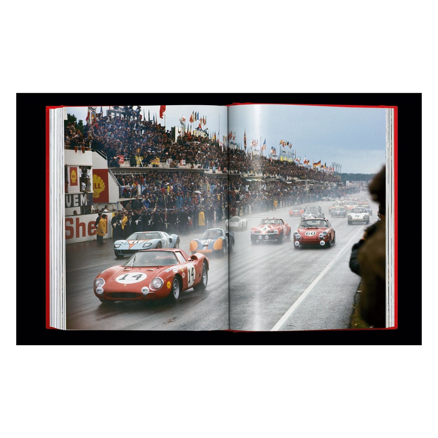 Ferrari (English) (SA)