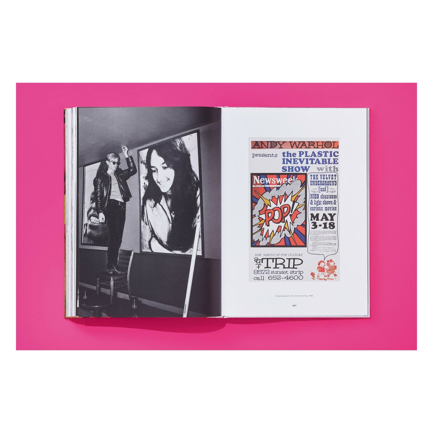 Steve Schapiro. Andy Warhol and Friends (English) (SA)
