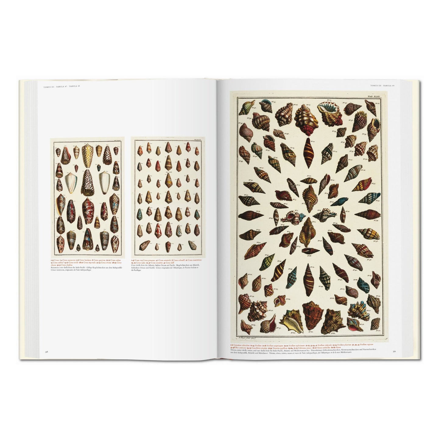 Seba. Cabinet of Natural Curiosities (German, French, English)