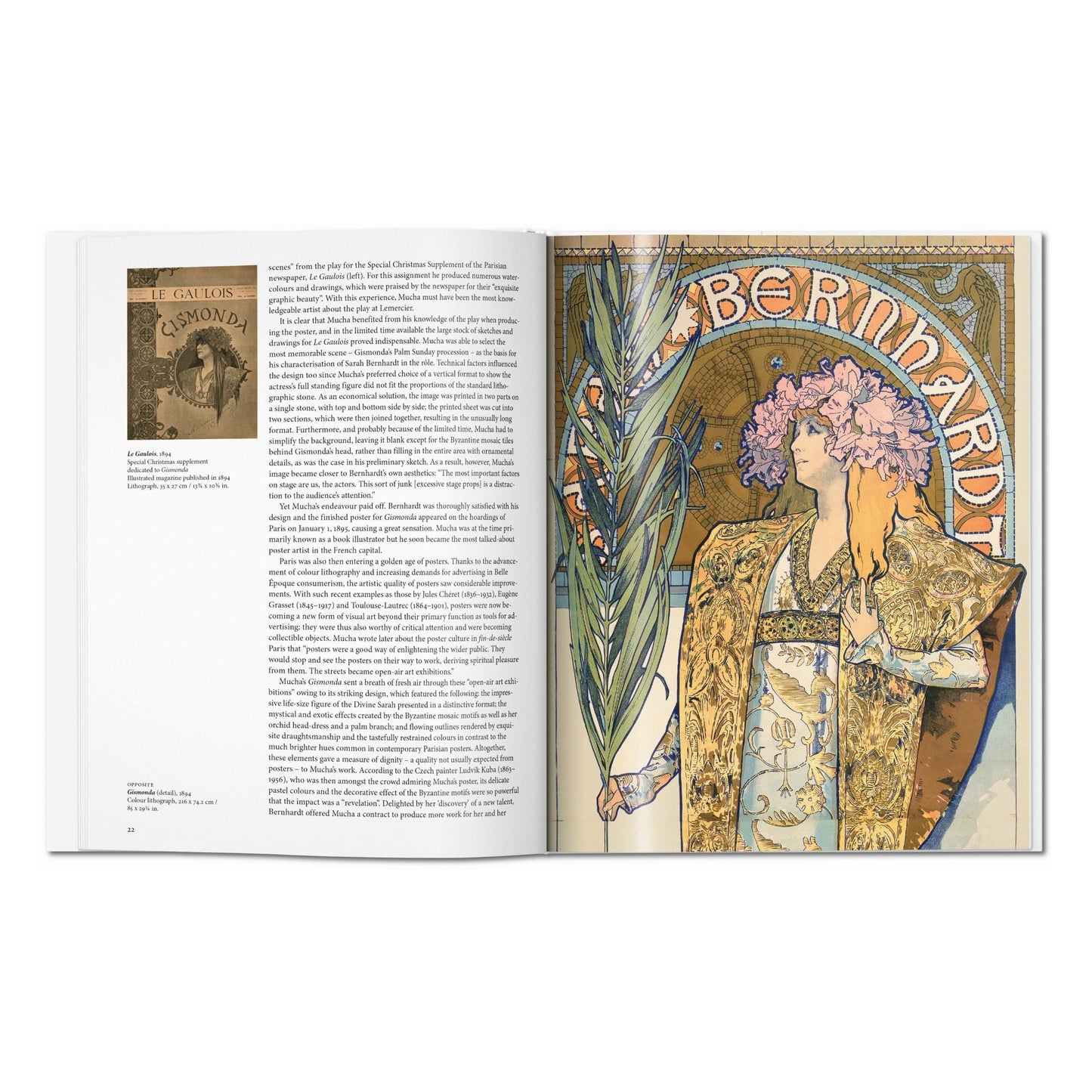 Mucha (Spanish)