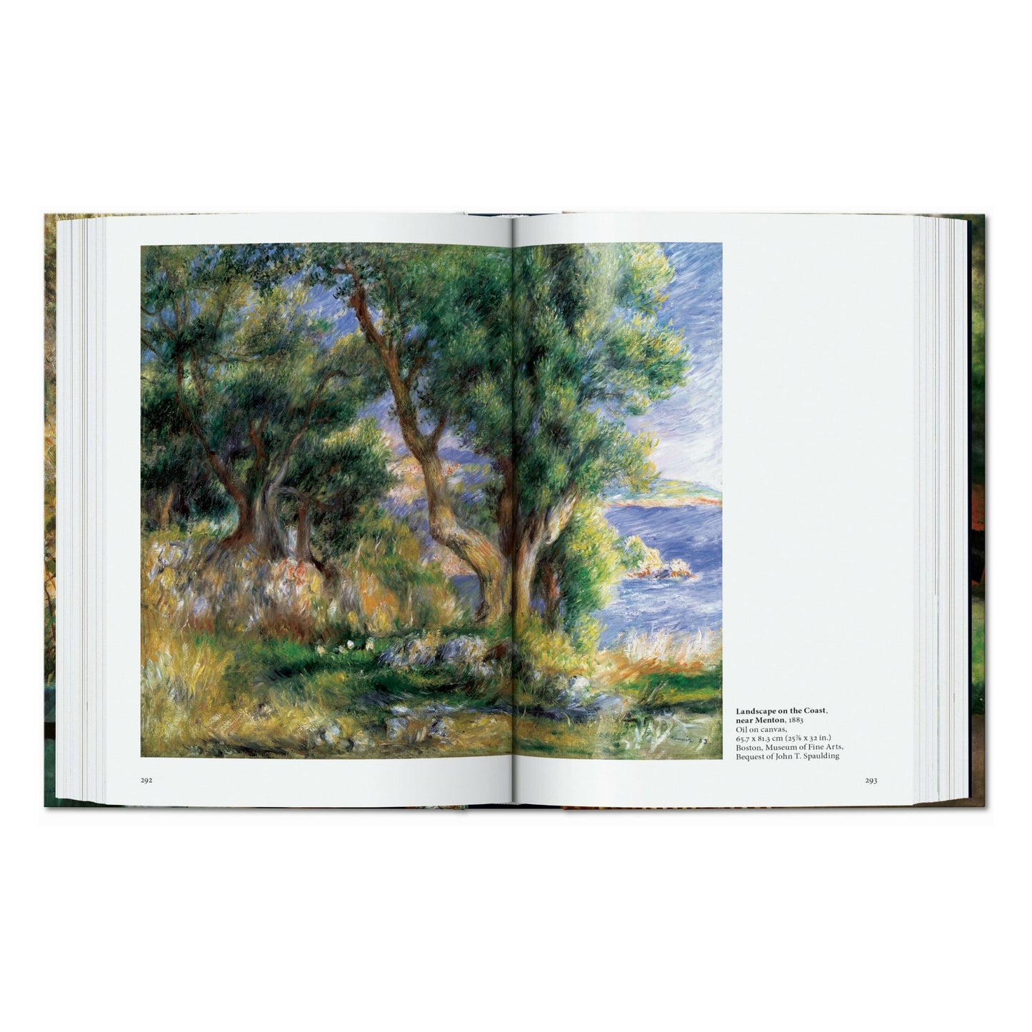Renoir. 45th Ed. (Spanish)