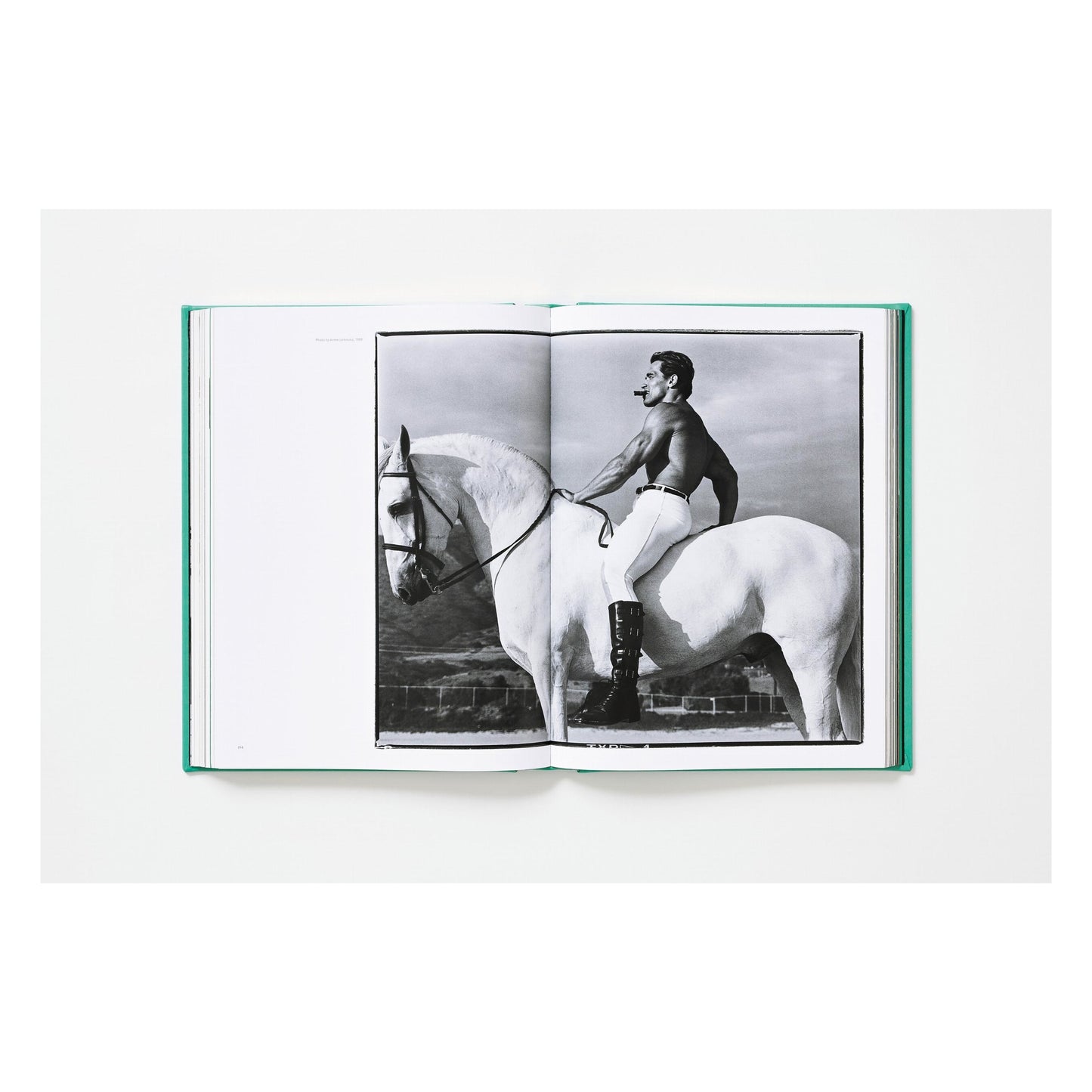 ARNOLD. Capitello Edition (English) (SA)