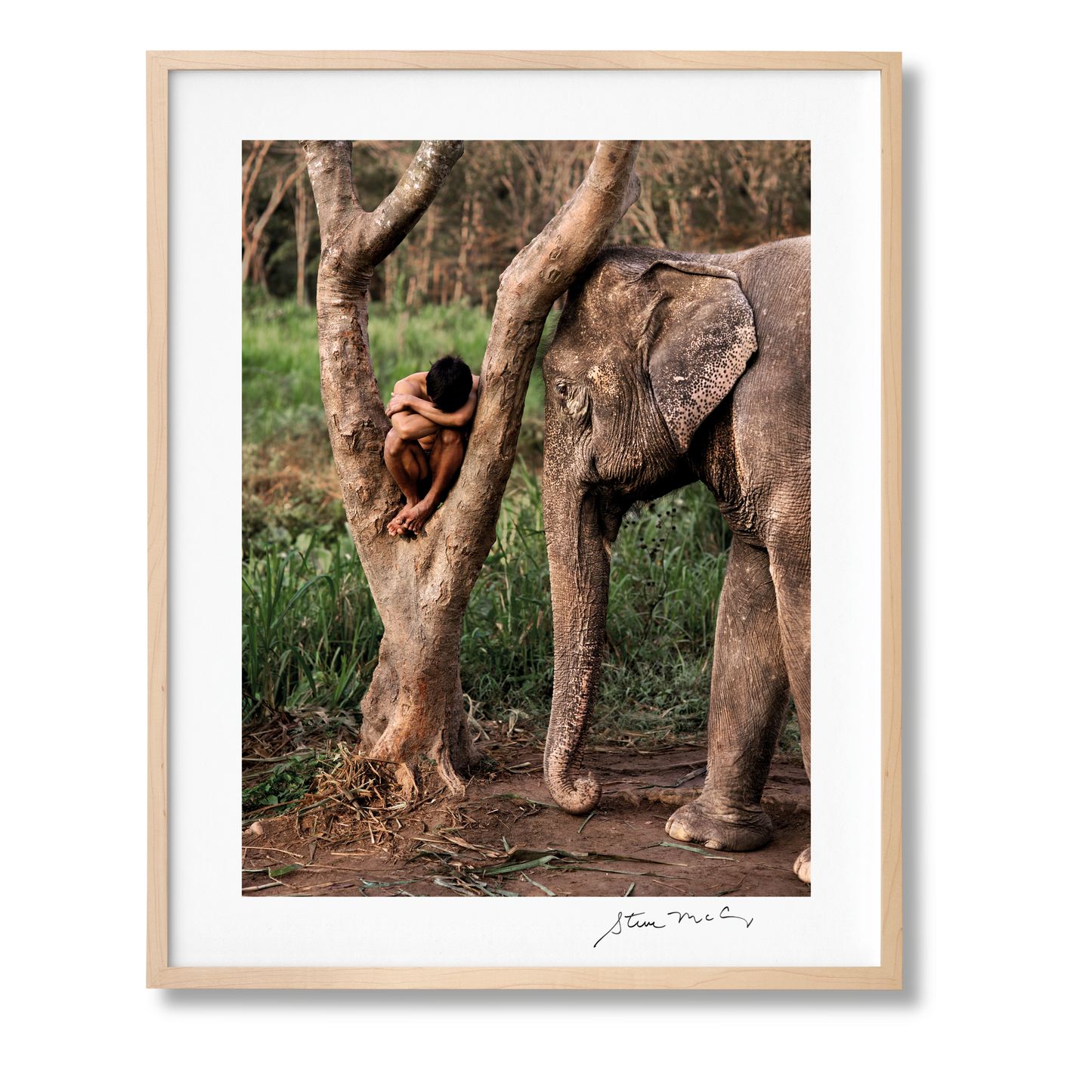McCurry, Animals, Art A, Chiang Mai (German, French, English) (AP)