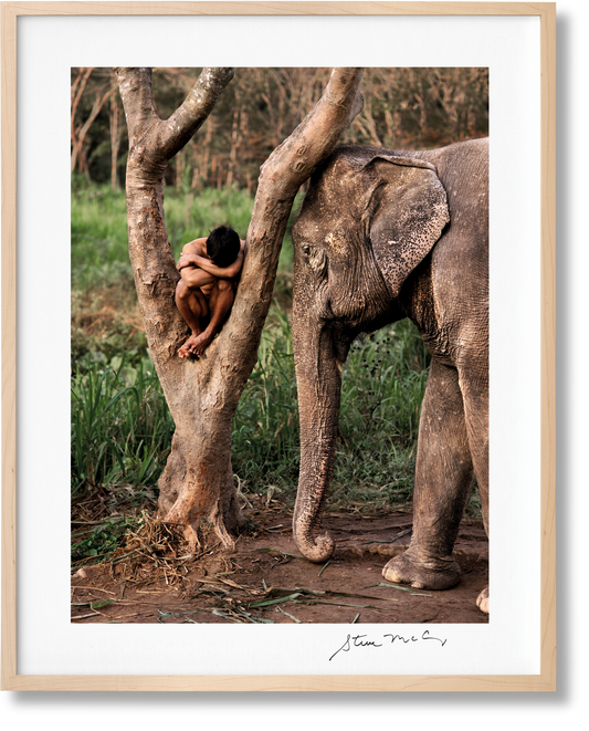 Steve McCurry. Animals. Art Edition No. 1–100 ‘Chiang Mai, Thailand, 2010’ (German, French, English)