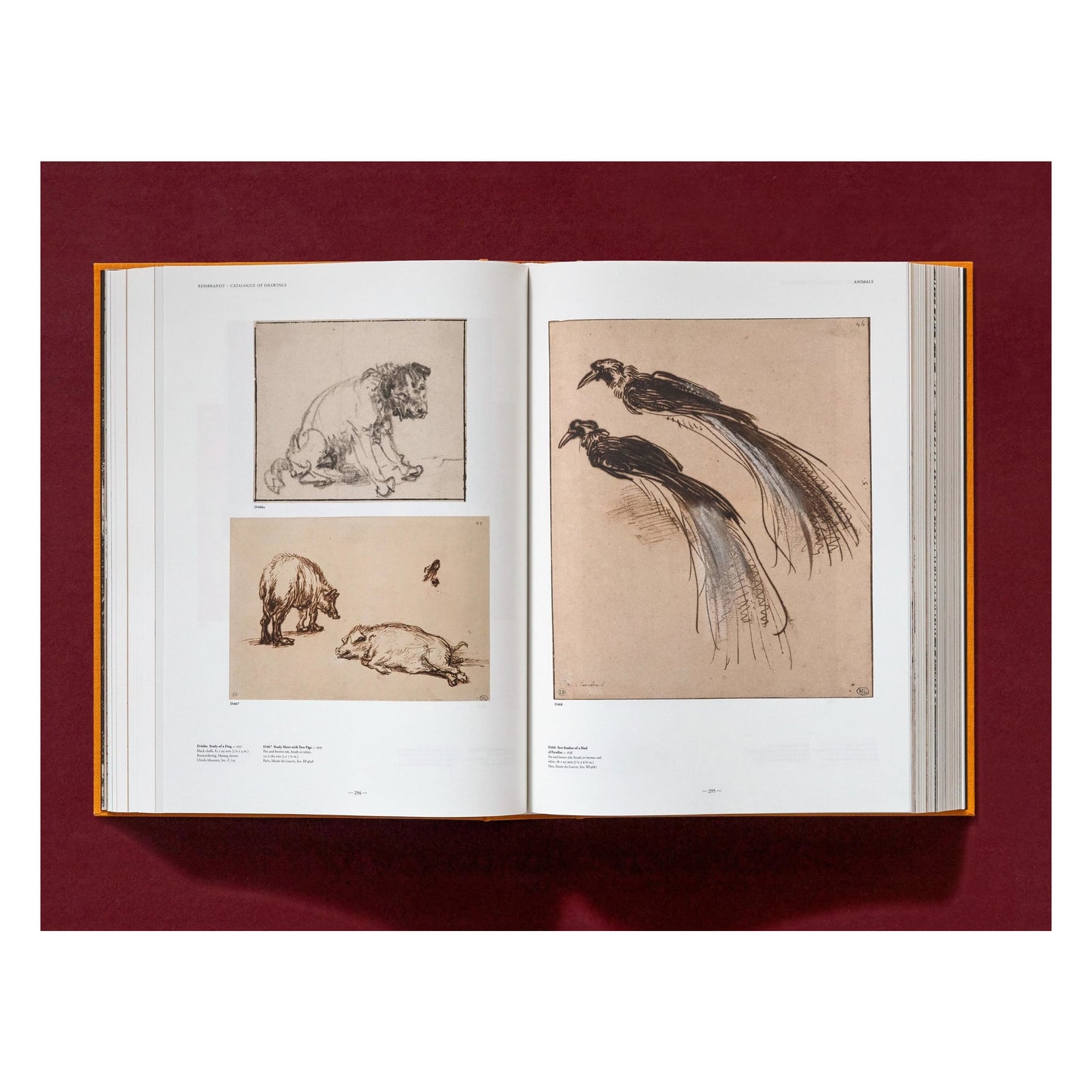 Rembrandt. The Complete Drawings and Etchings (English)