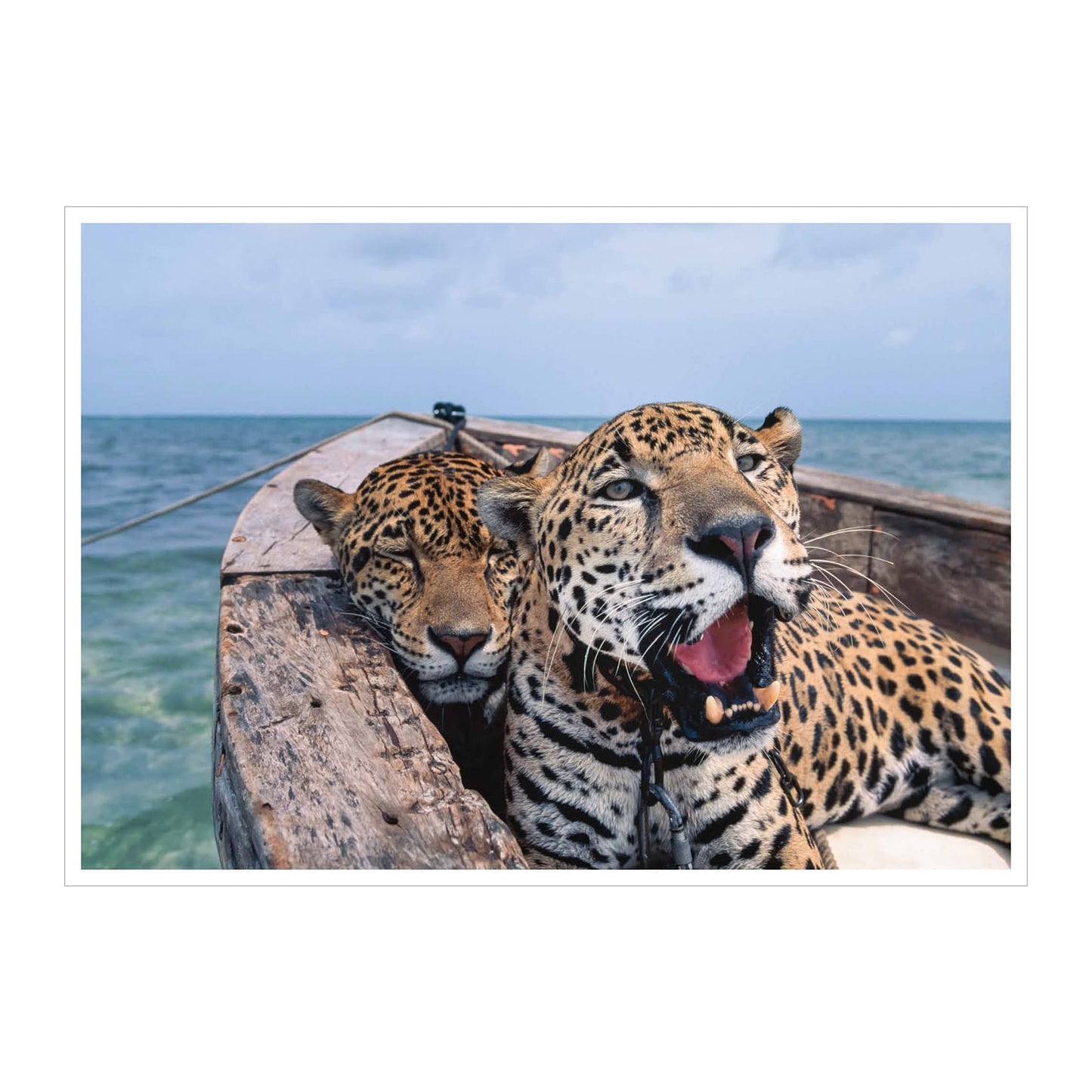 National Geographic. Around the World in 125 Years (English)