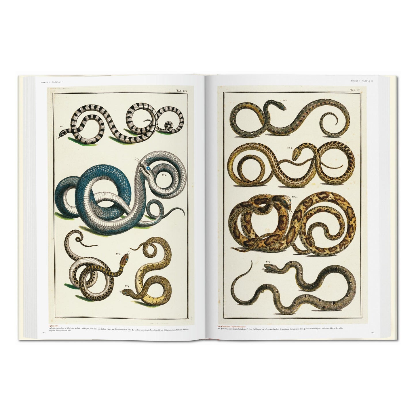Seba. Cabinet of Natural Curiosities (German, French, English)