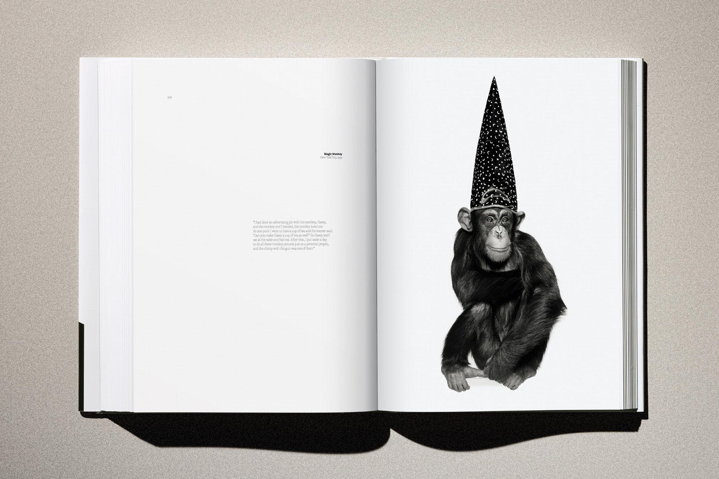 Albert Watson. Kaos. 2nd Edition. Art Edition No. 101-150, 'Christy Turlington (Smoke), New York City', 1990 (German, French, English) (AP)