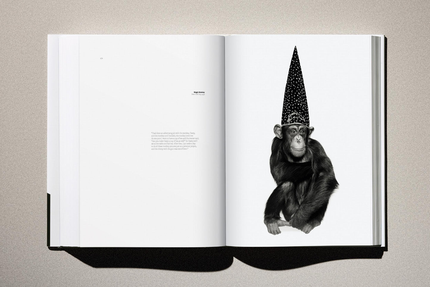 Albert Watson. Kaos. 2nd Edition. Art Edition No. 51-100, 'Monkey with Gun, New York City’, 1992 (German, French, English) (AP)