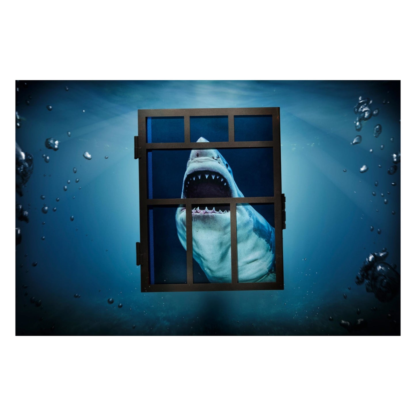 Michael Muller. Sharks (English)
