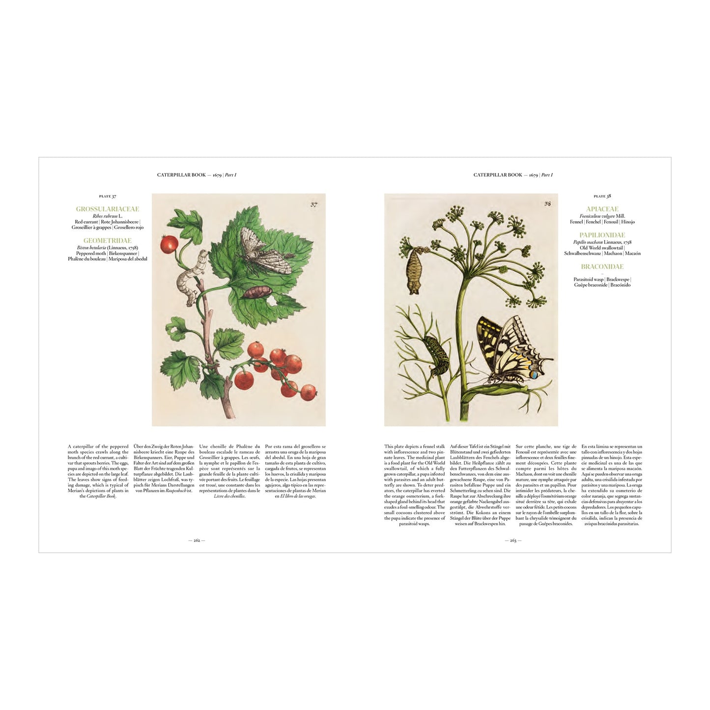Merian (German, Spanish, French, English)