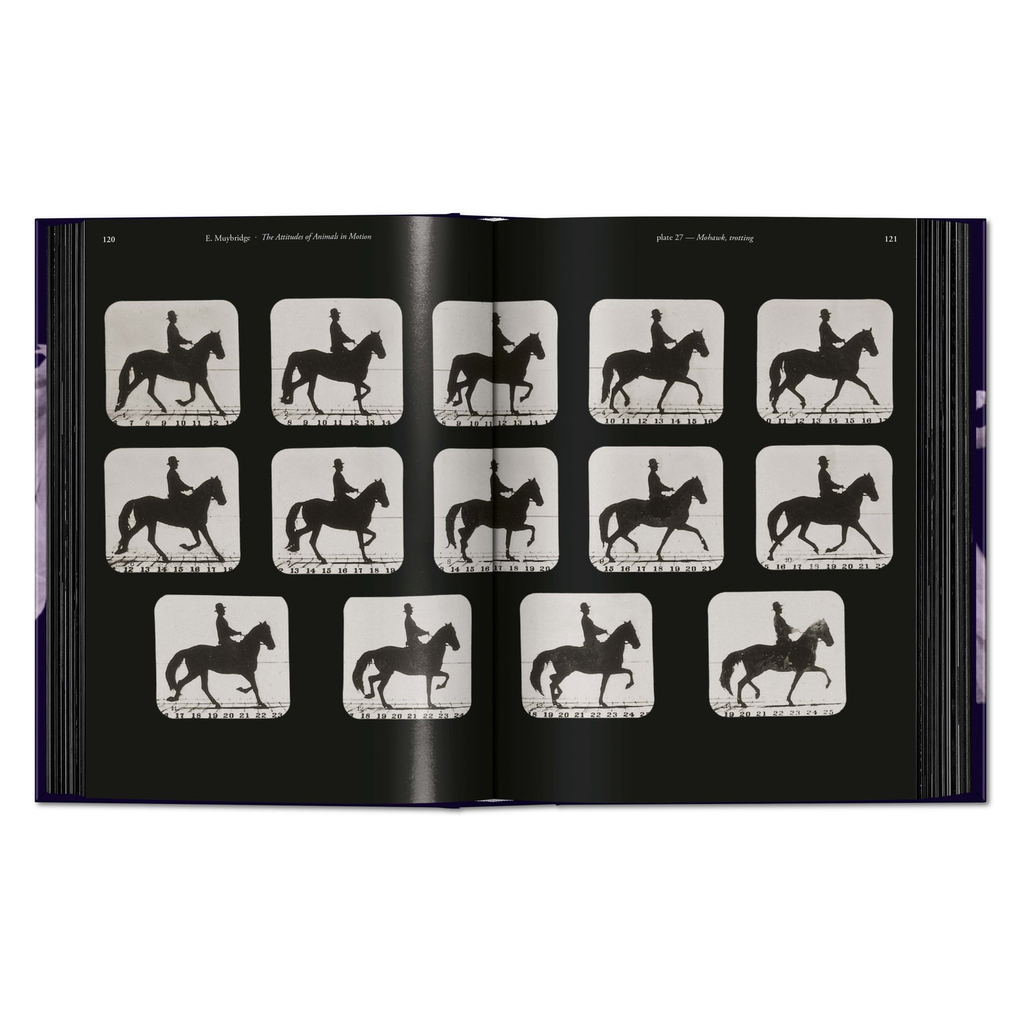 Muybridge. The Human and Animal Locomotion Photographs. 45th Ed. (German, French, English)