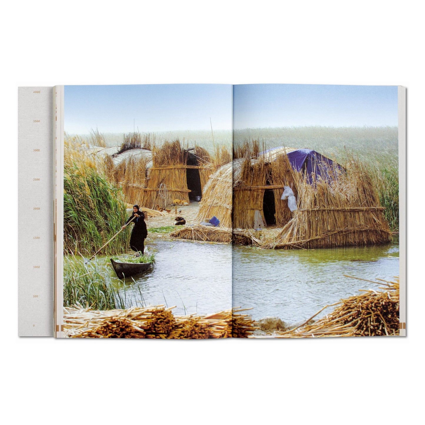 Julia Watson. Lo—TEK. Design by Radical Indigenism (English)