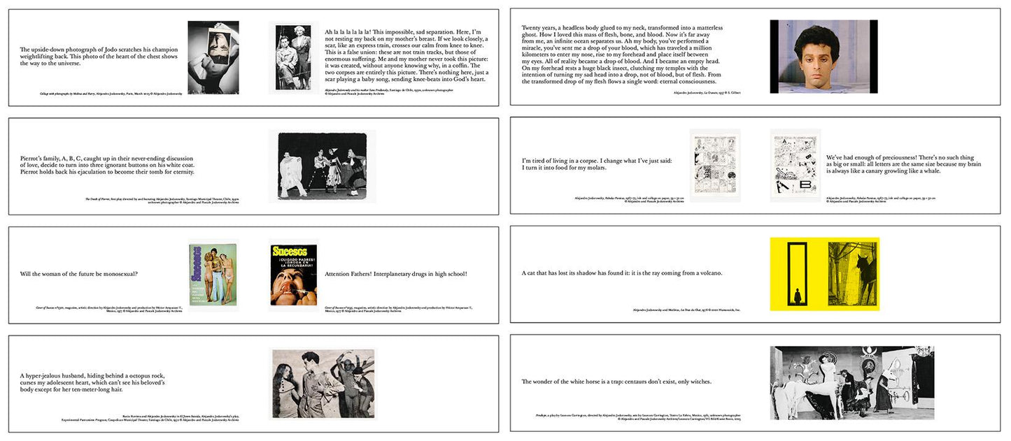 Alejandro Jodorowsky. Art Sin Fin (English)