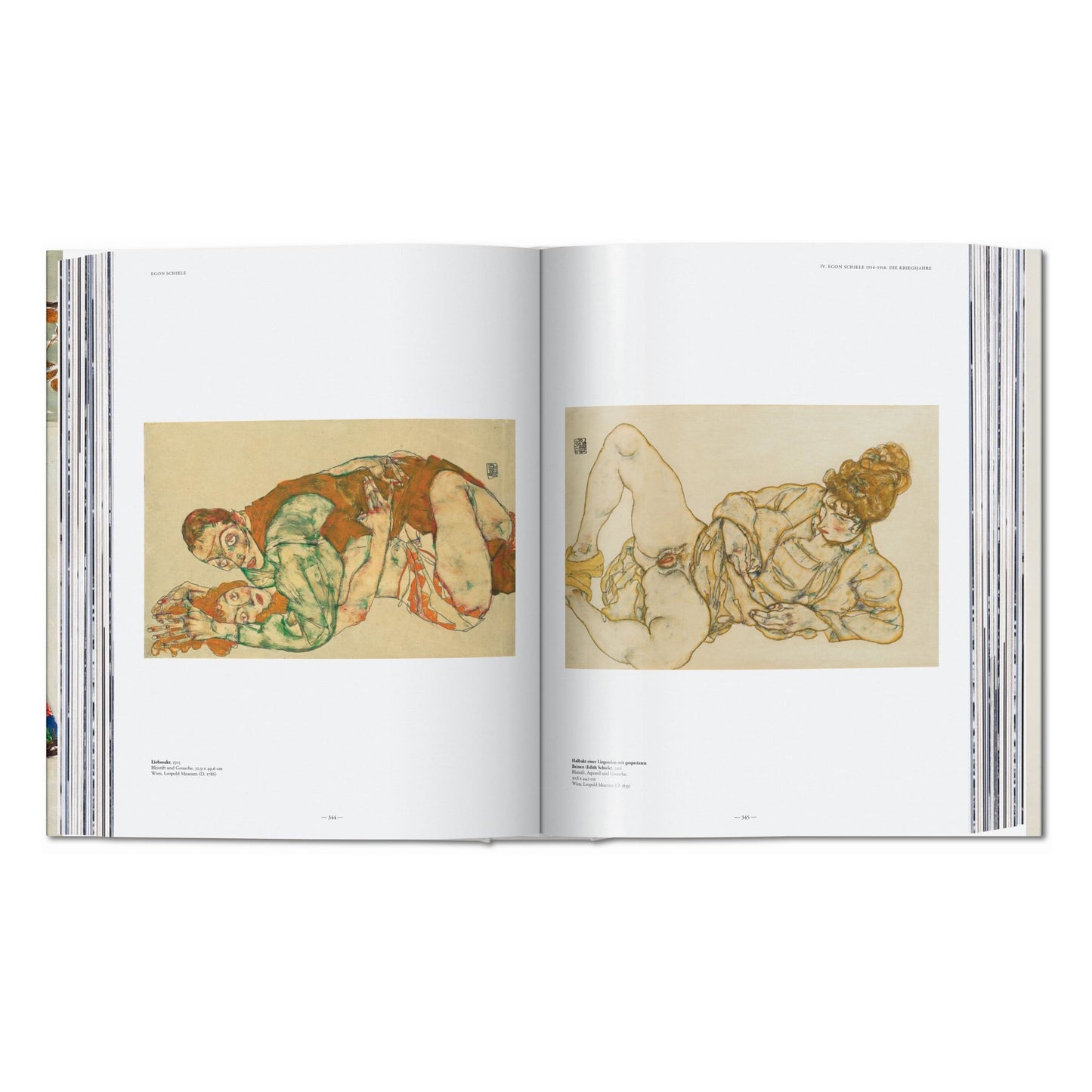 Egon Schiele. L'œuvre complet 1909–1918 (French)
