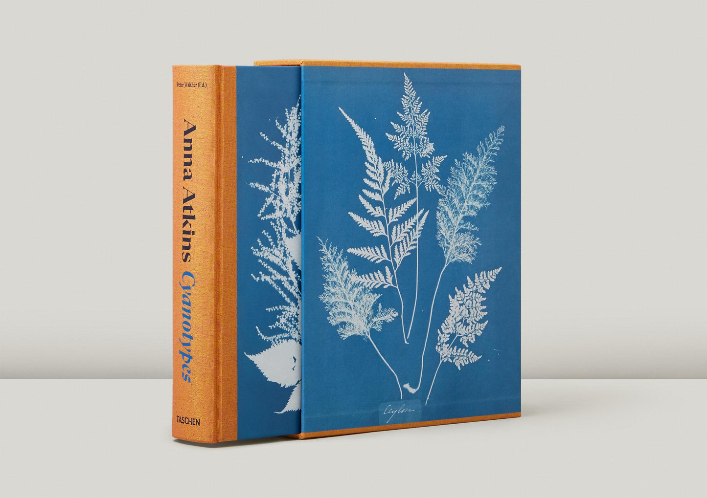 Anna Atkins. Cyanotypes (German, French, English) (FFE)