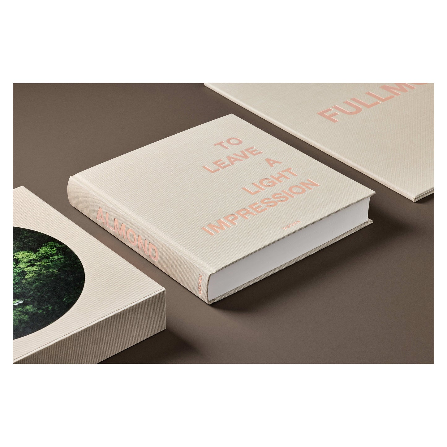Darren Almond. Fullmoon. Art Edition No. 1–60, ‘Fullmoon@Pentre Ifan’ (German, French, English)