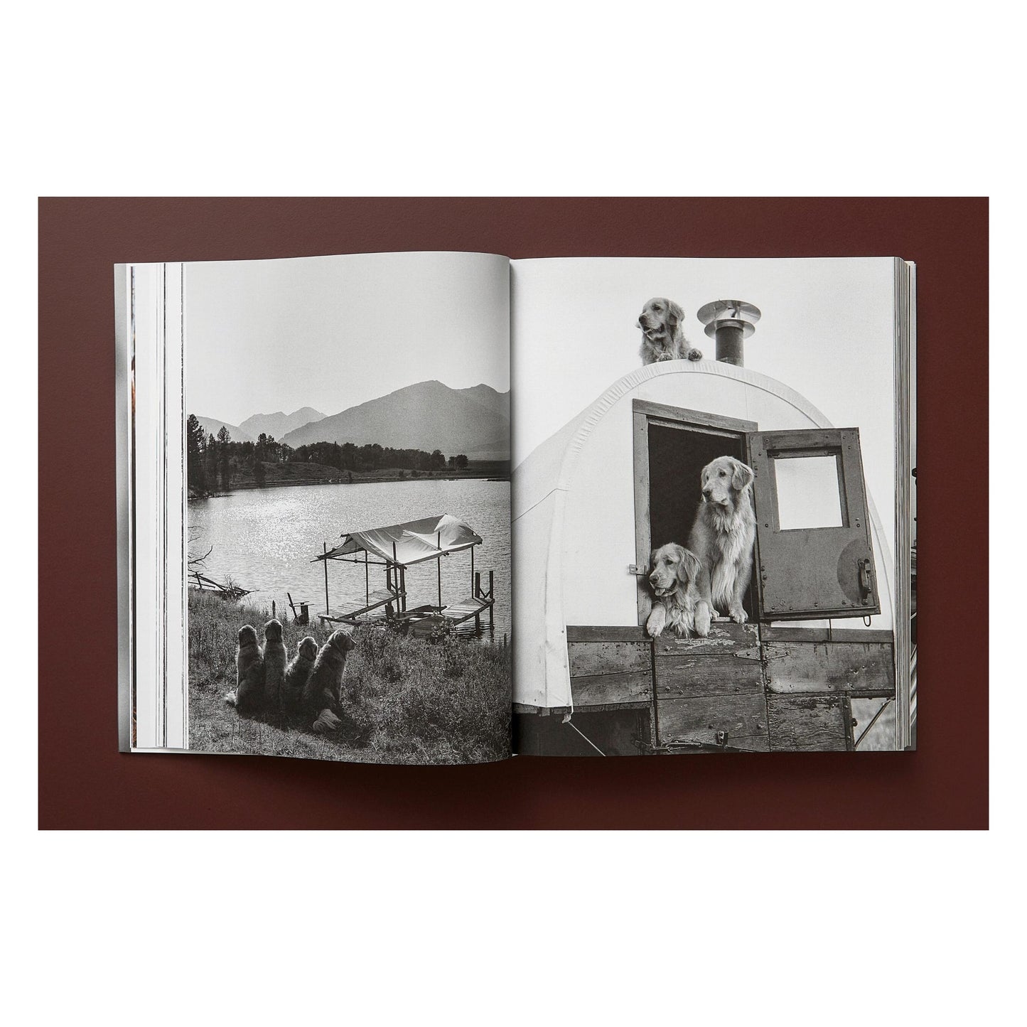 Bruce Weber. The Golden Retriever Photographic Society. Art Edition No. 1–100 ‘Little Bear Ranch, Montana, 1996’ (German, French, English) (SA)