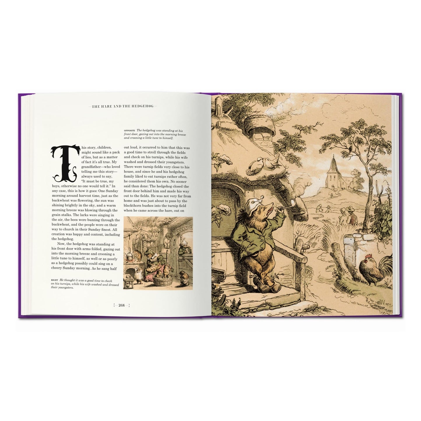 The Fairy Tales of the Brothers Grimm (English)