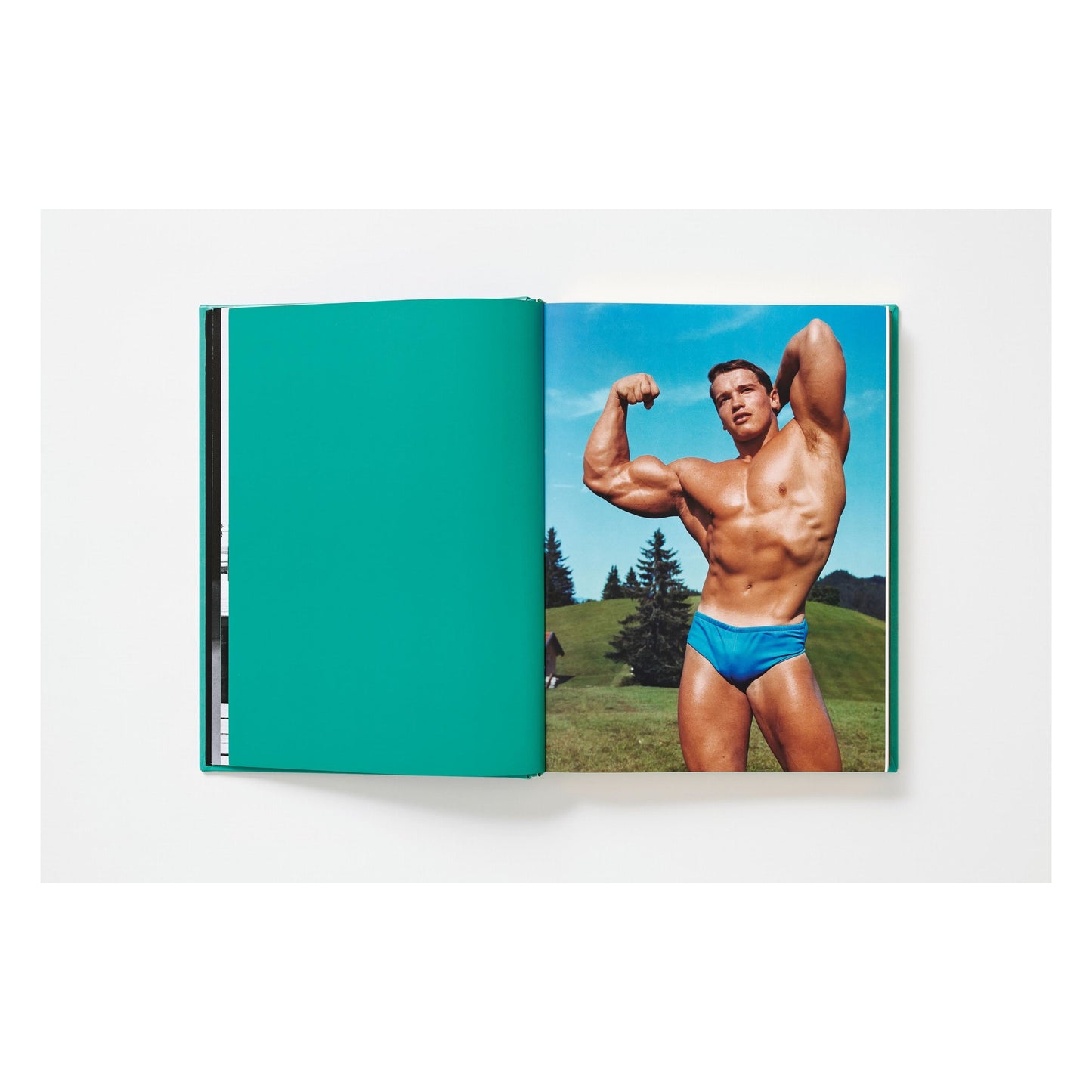 ARNOLD. Capitello Edition (English) (SA)