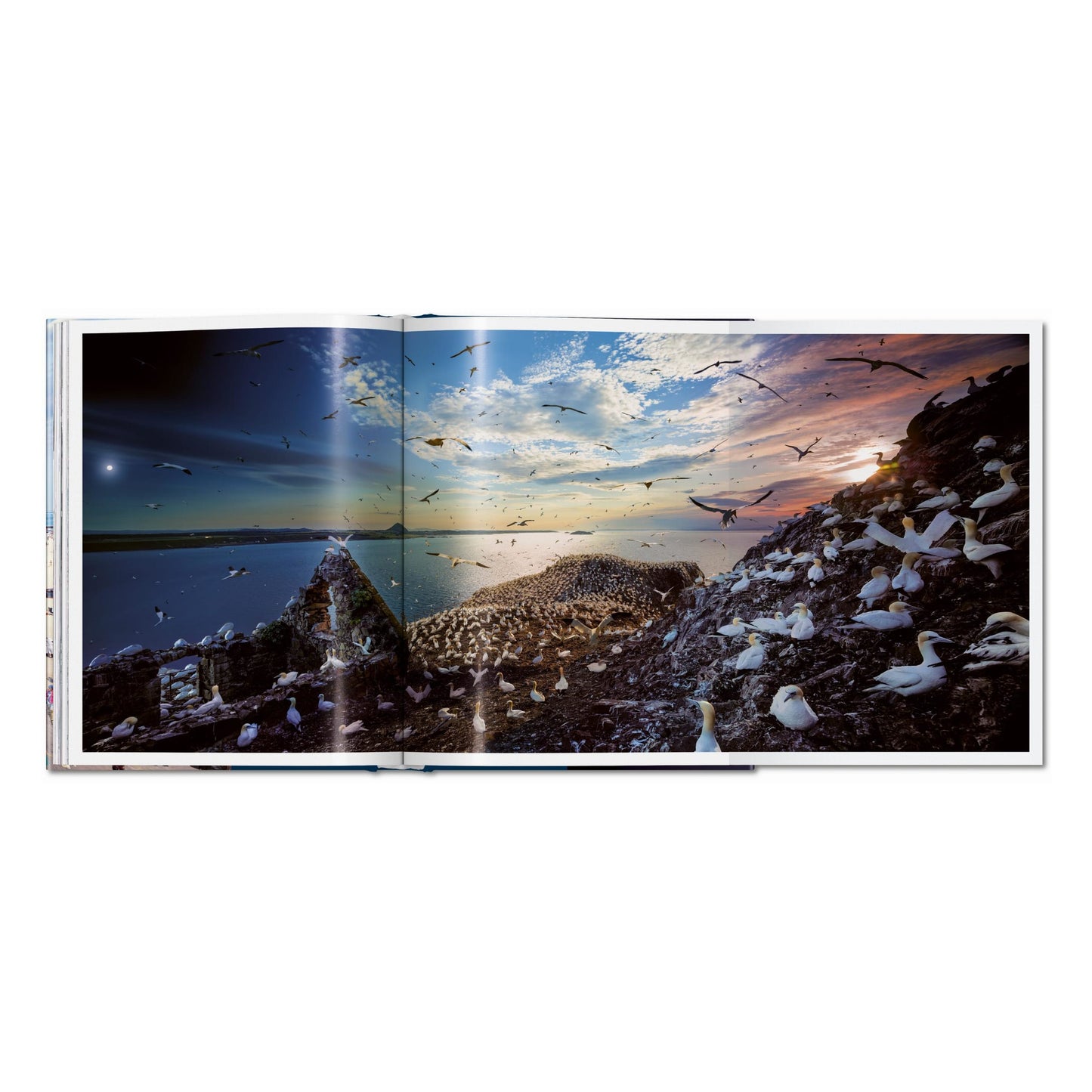 Stephen Wilkes. Day to Night (German, French, English)