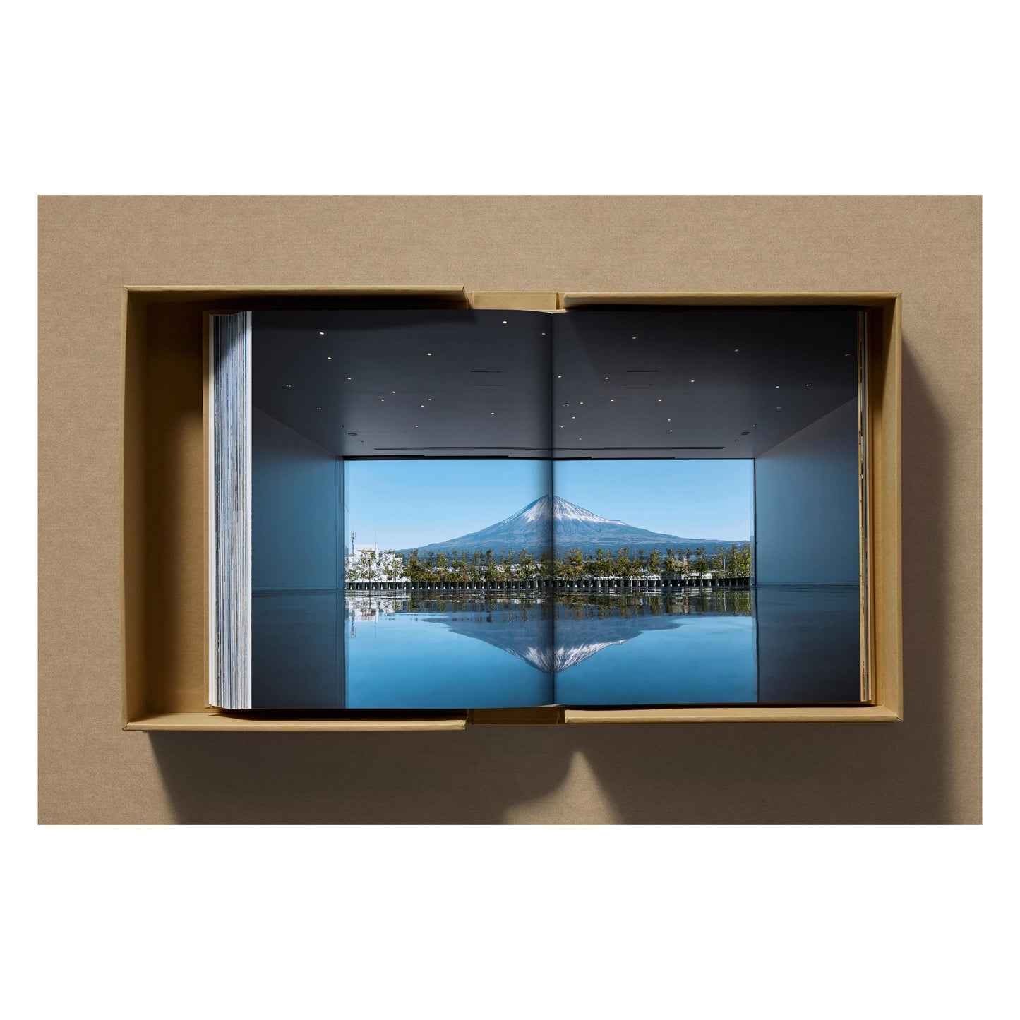 Shigeru Ban. Complete Works 1985–Today. Art Edition ‘Bamboo Gridshell Roof’, 2023 (German, French, English) (AP)